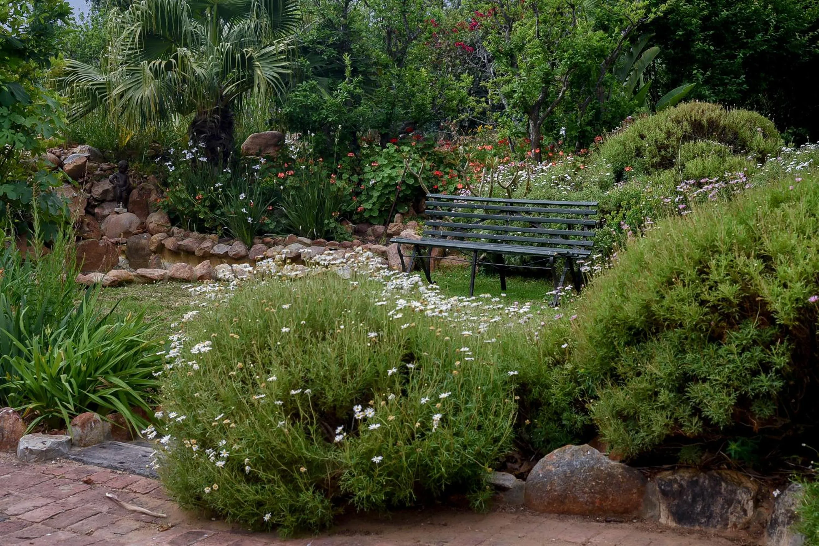 Garden in Green Olive Guesthouse