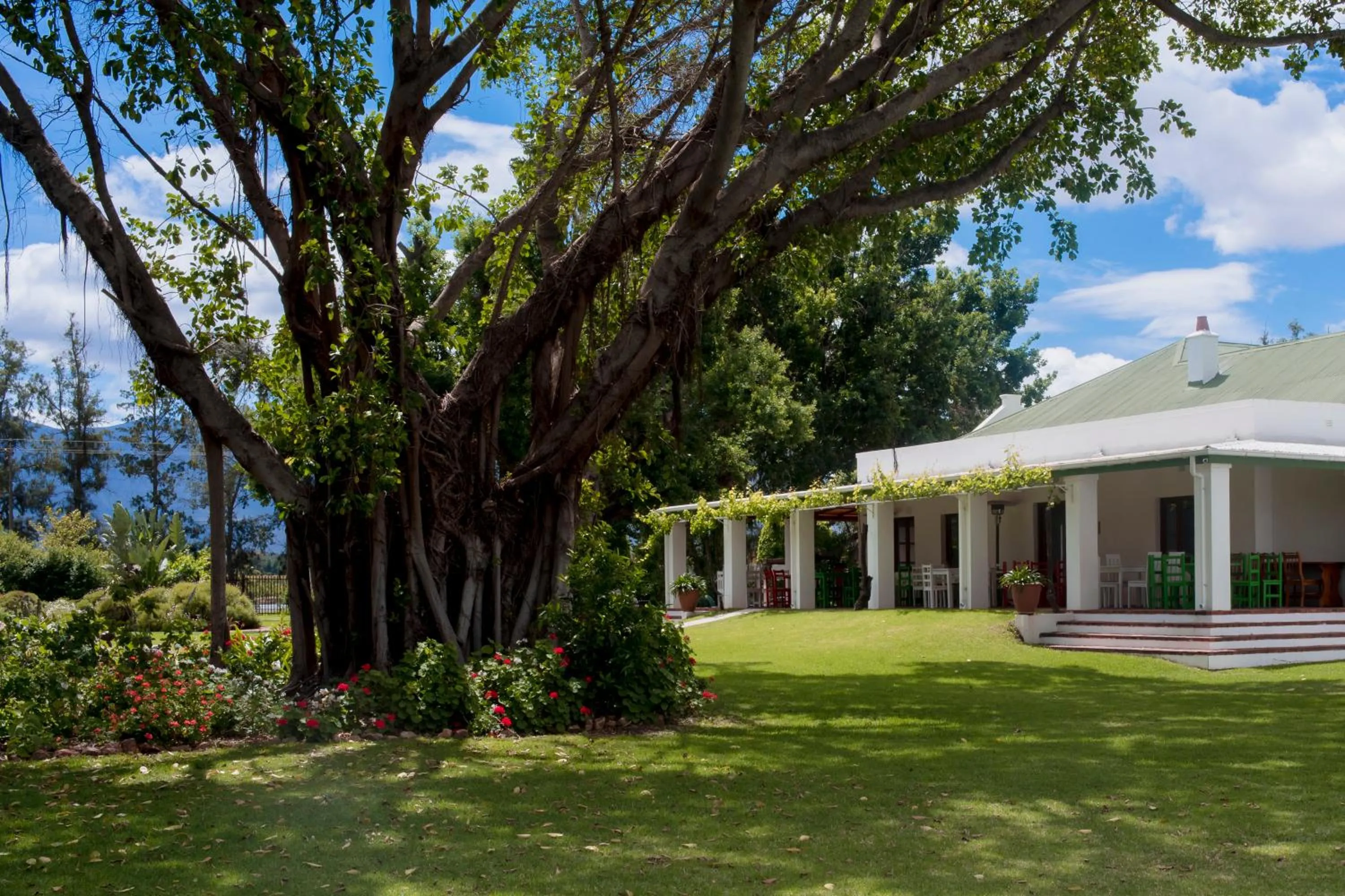 Property building in Green Olive Guesthouse