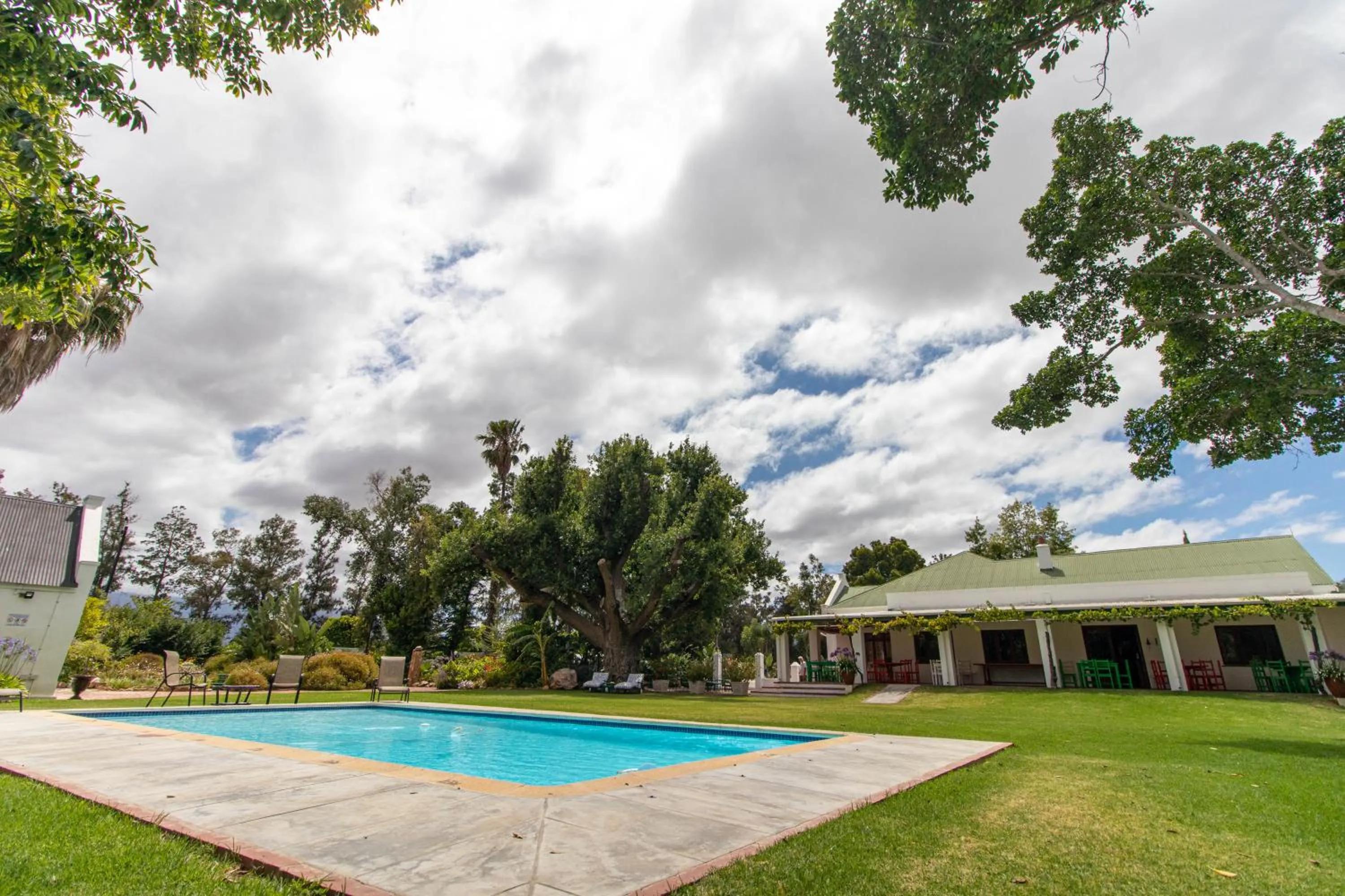 Swimming pool in Green Olive Guesthouse