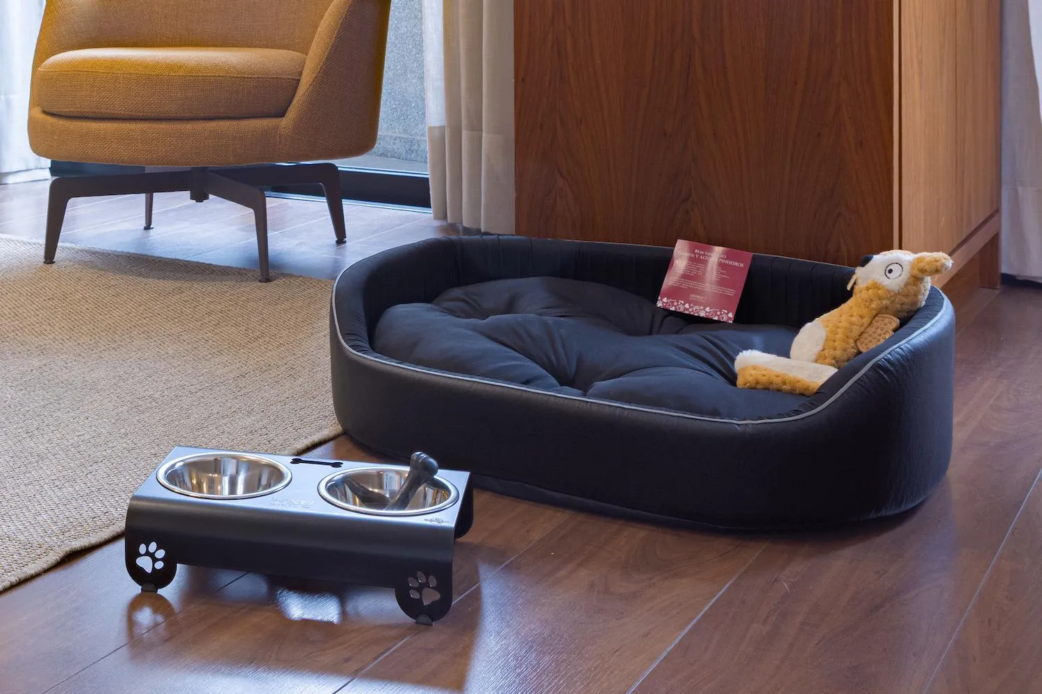 Pets in George V Casa Branca