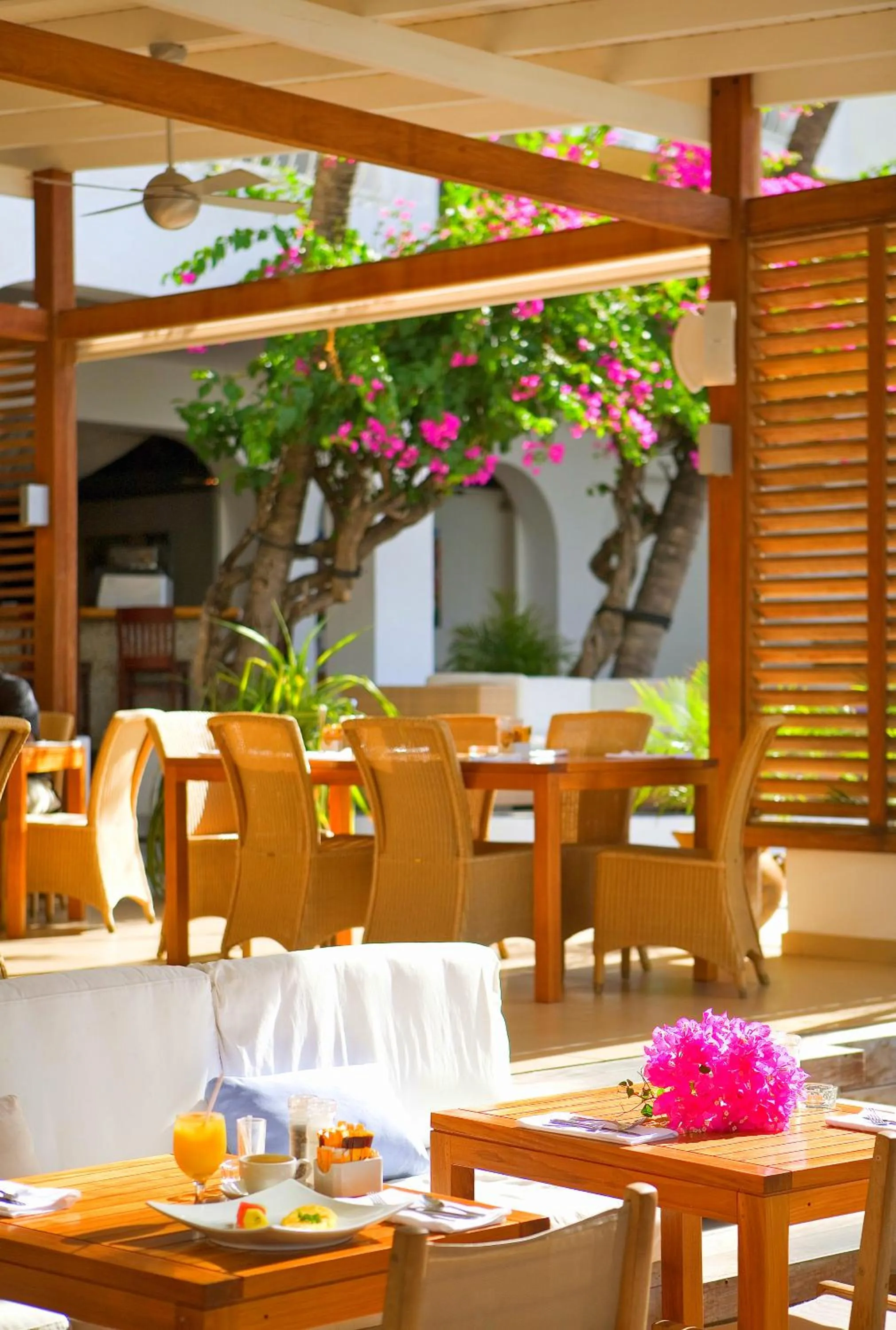 Restaurant/places to eat in Holland House Beach Hotel