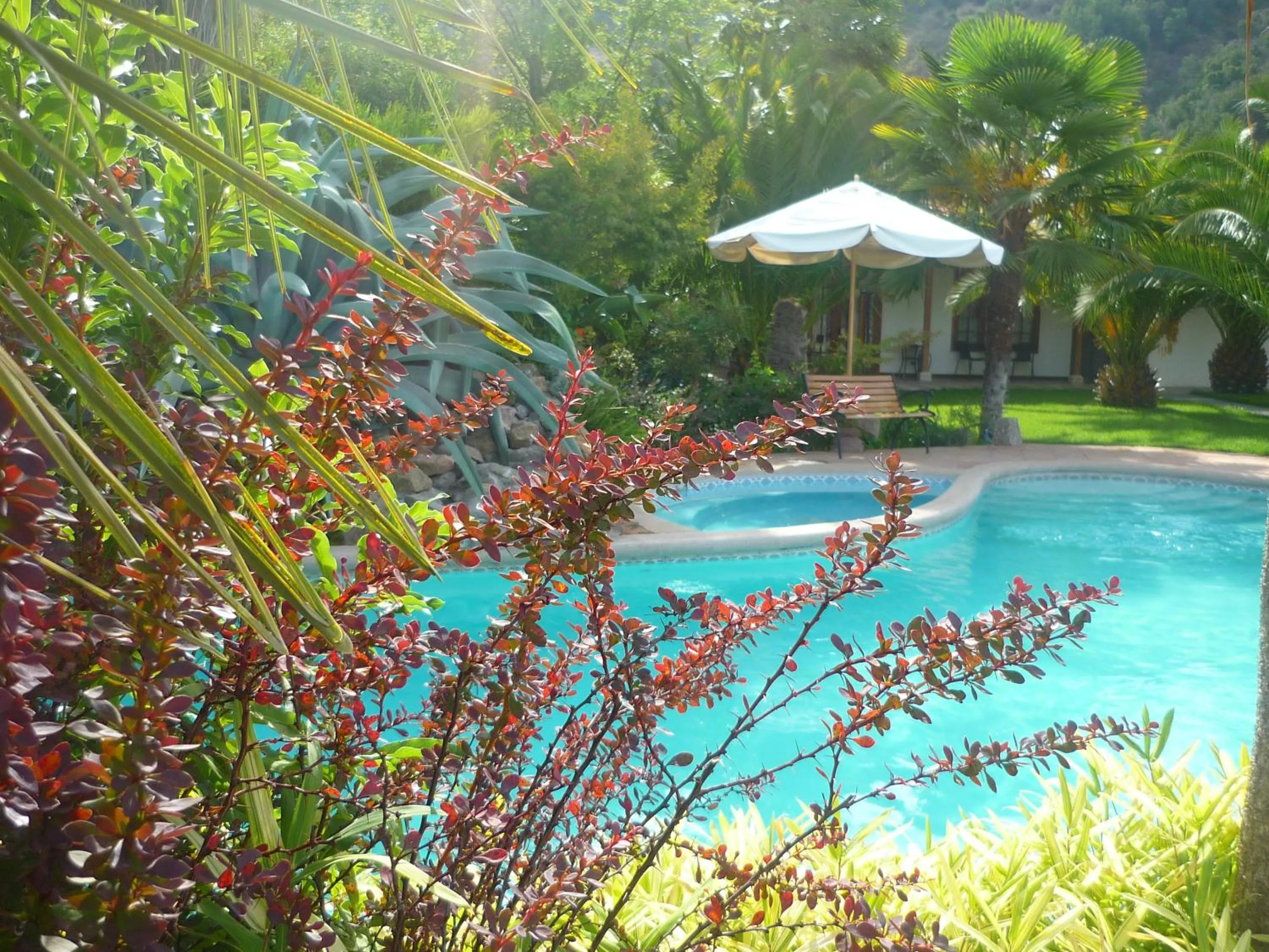 Garden in Hotel Boutique Solaz Bella Vista de Colchagua