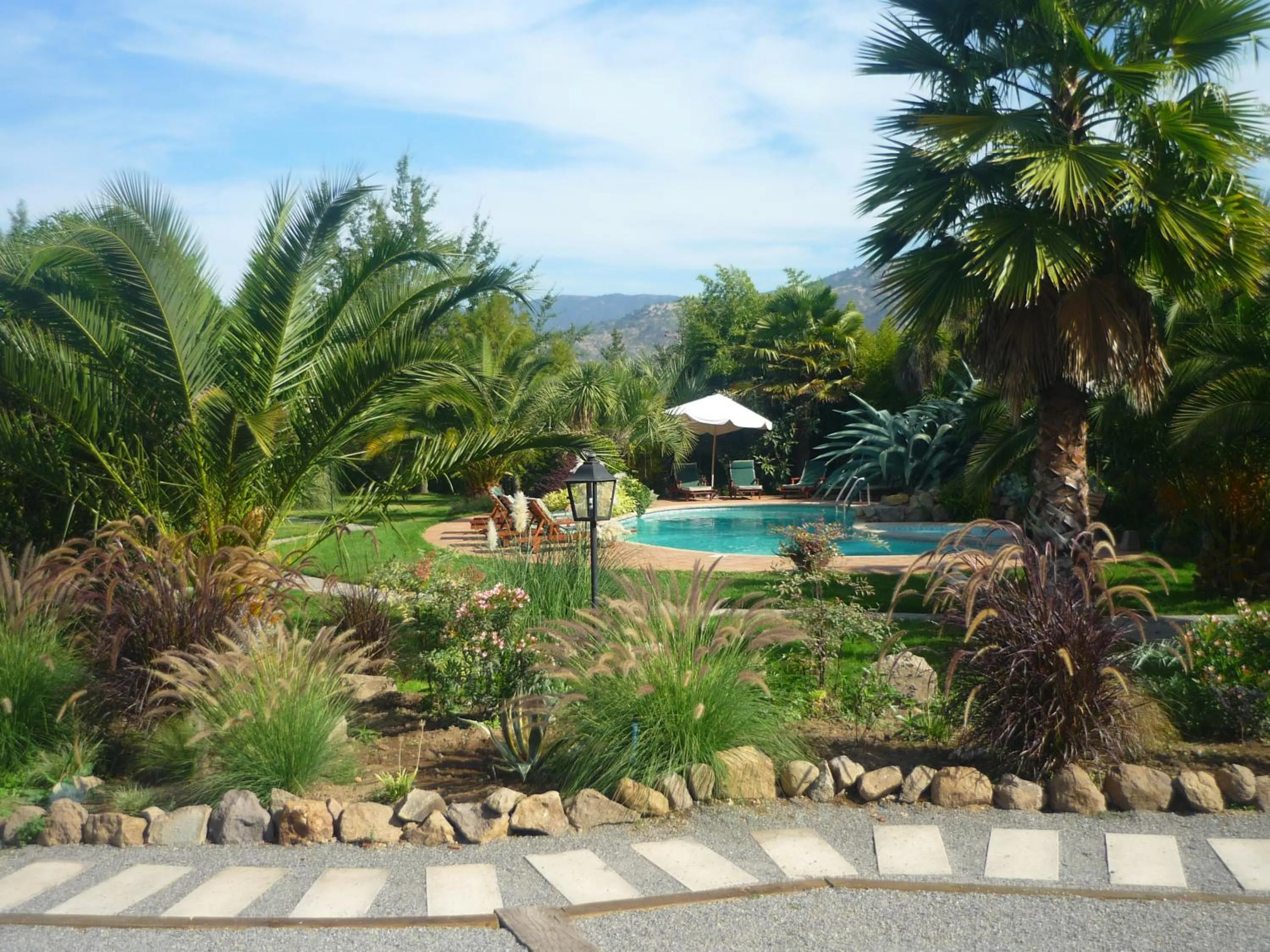 Natural landscape in Hotel Boutique Solaz Bella Vista de Colchagua