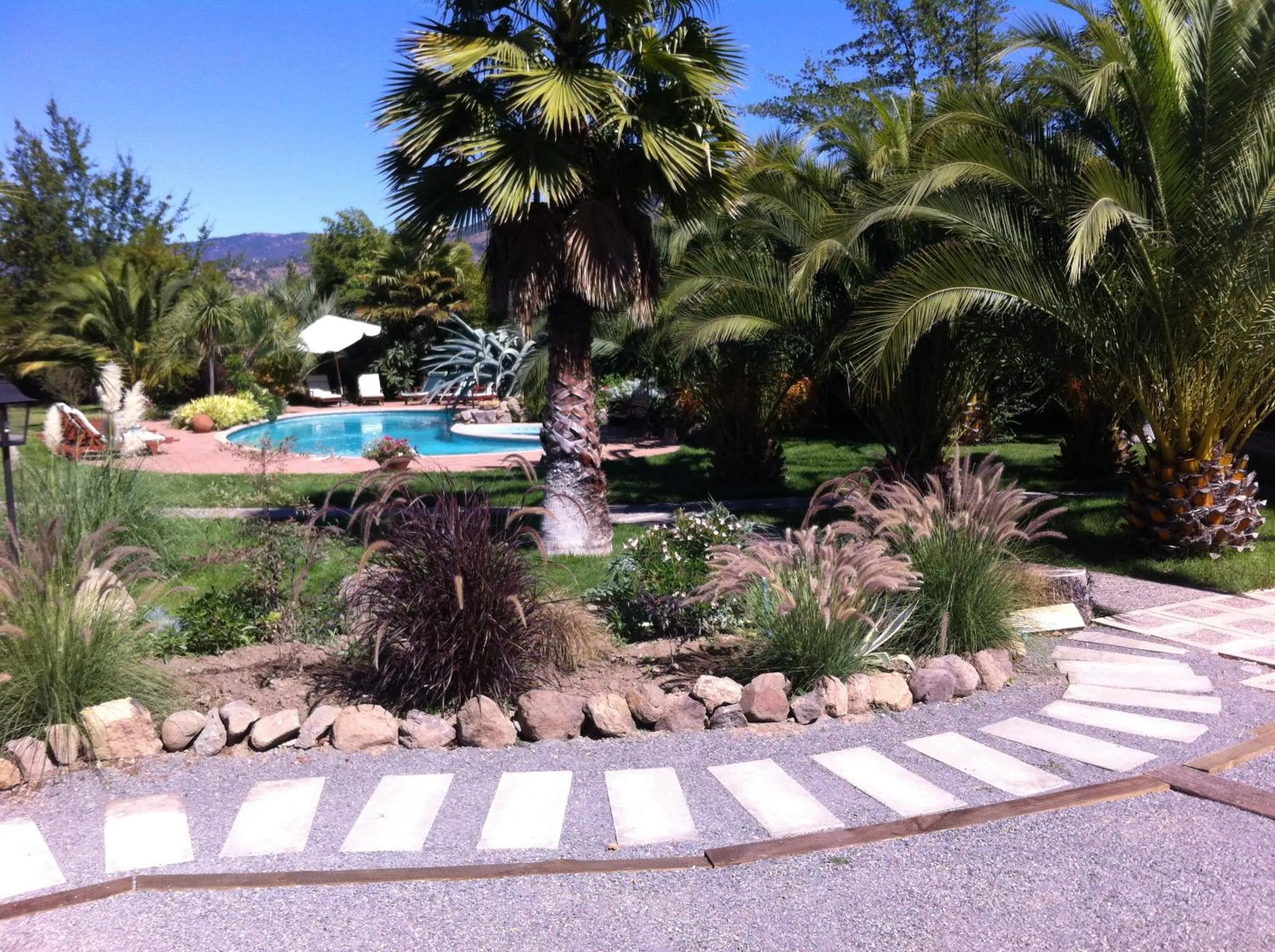 Natural landscape in Hotel Boutique Solaz Bella Vista de Colchagua