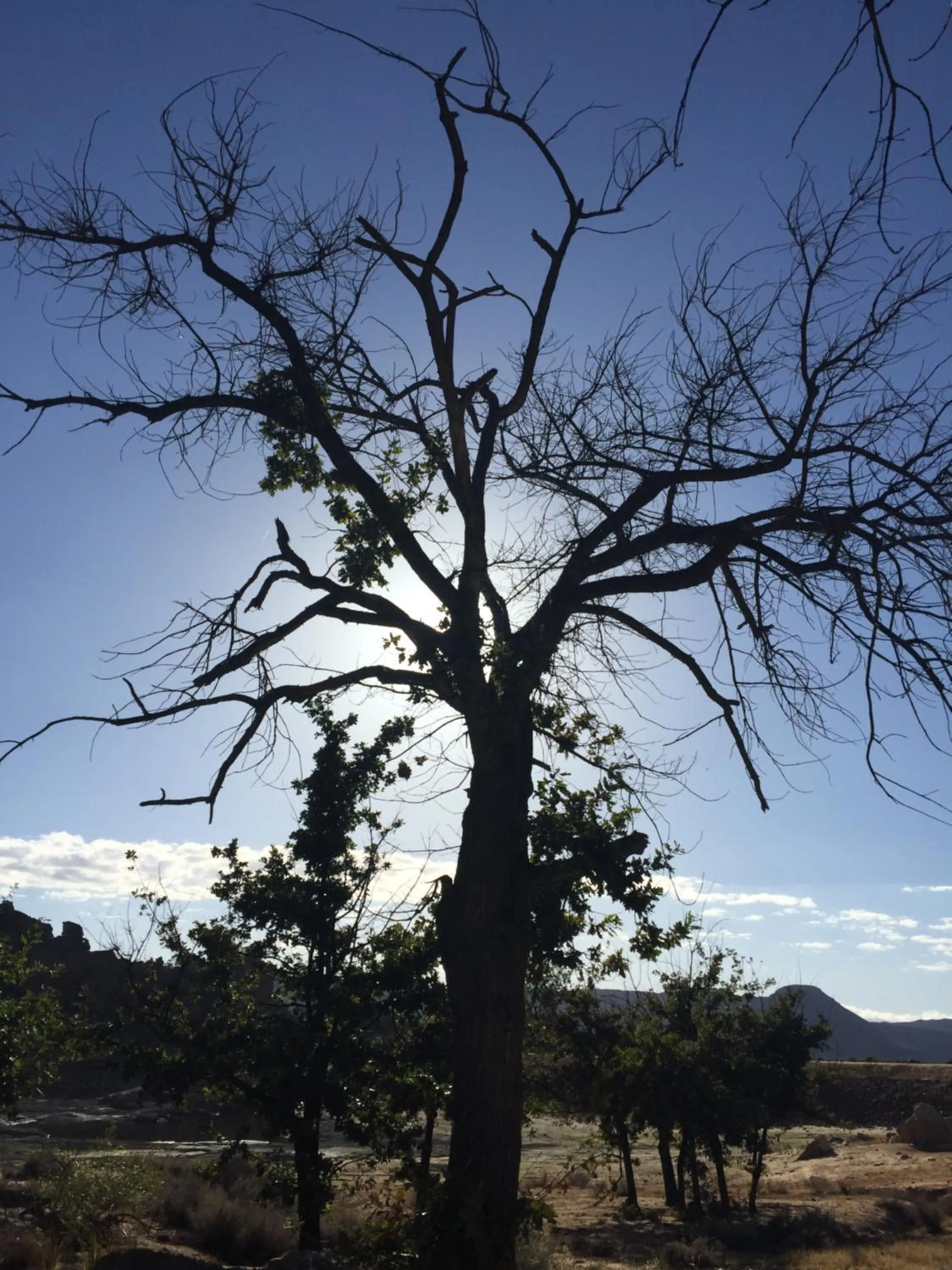 Natural landscape in Heiveld Farm Cottages