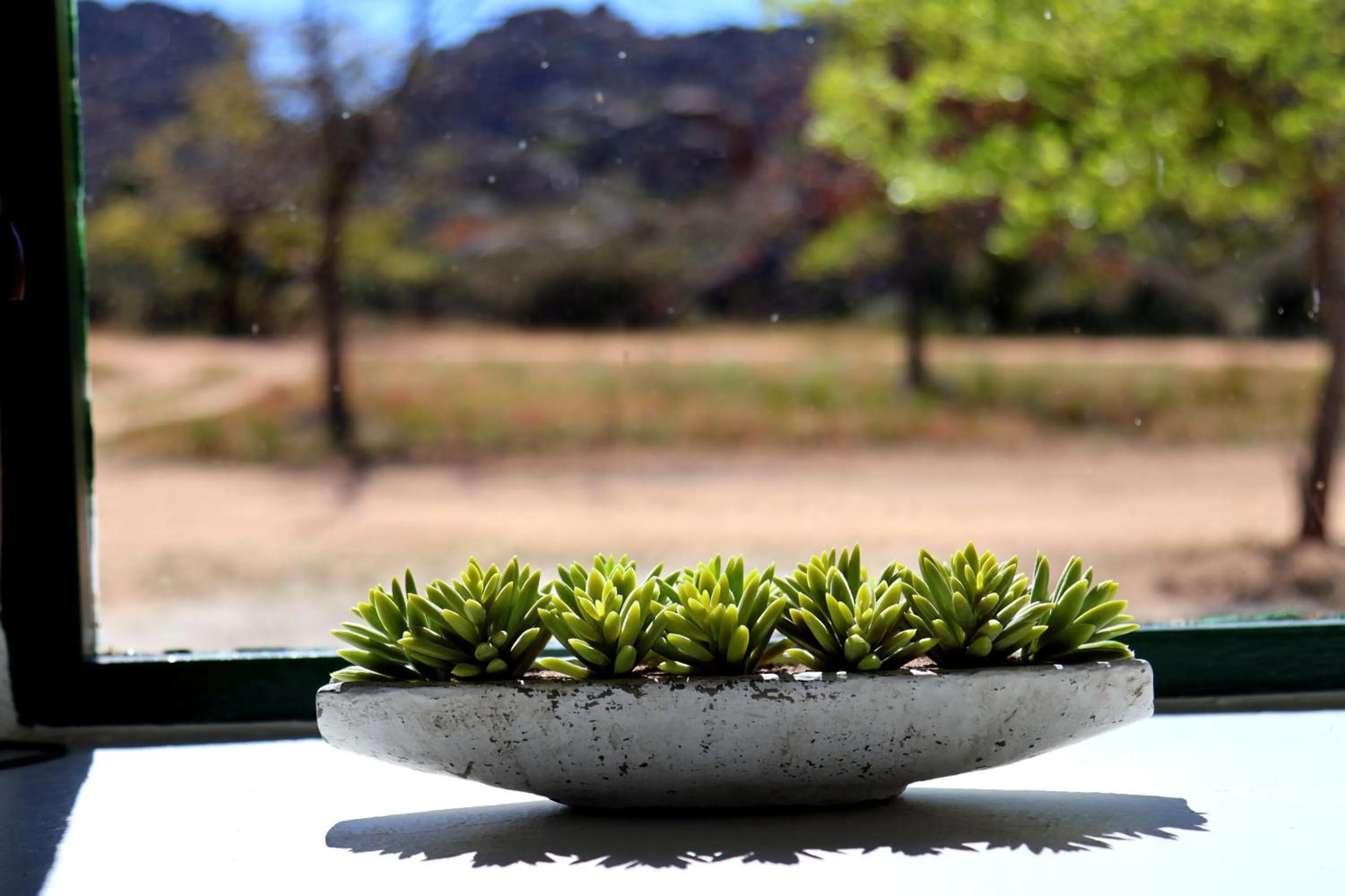 Heiveld Farm Cottages