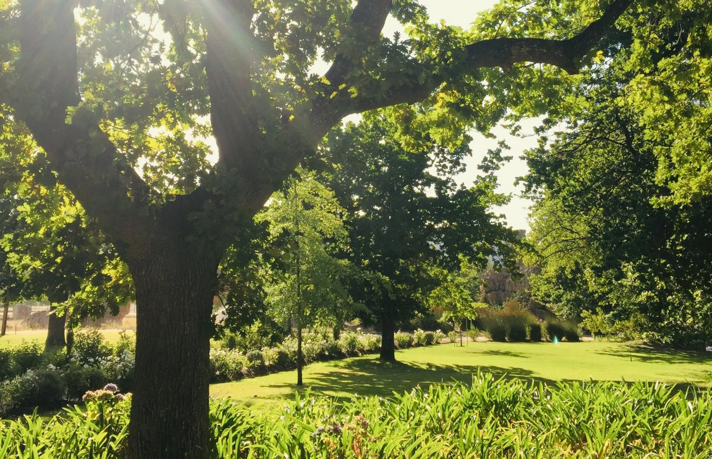 Heiveld Farm Cottages