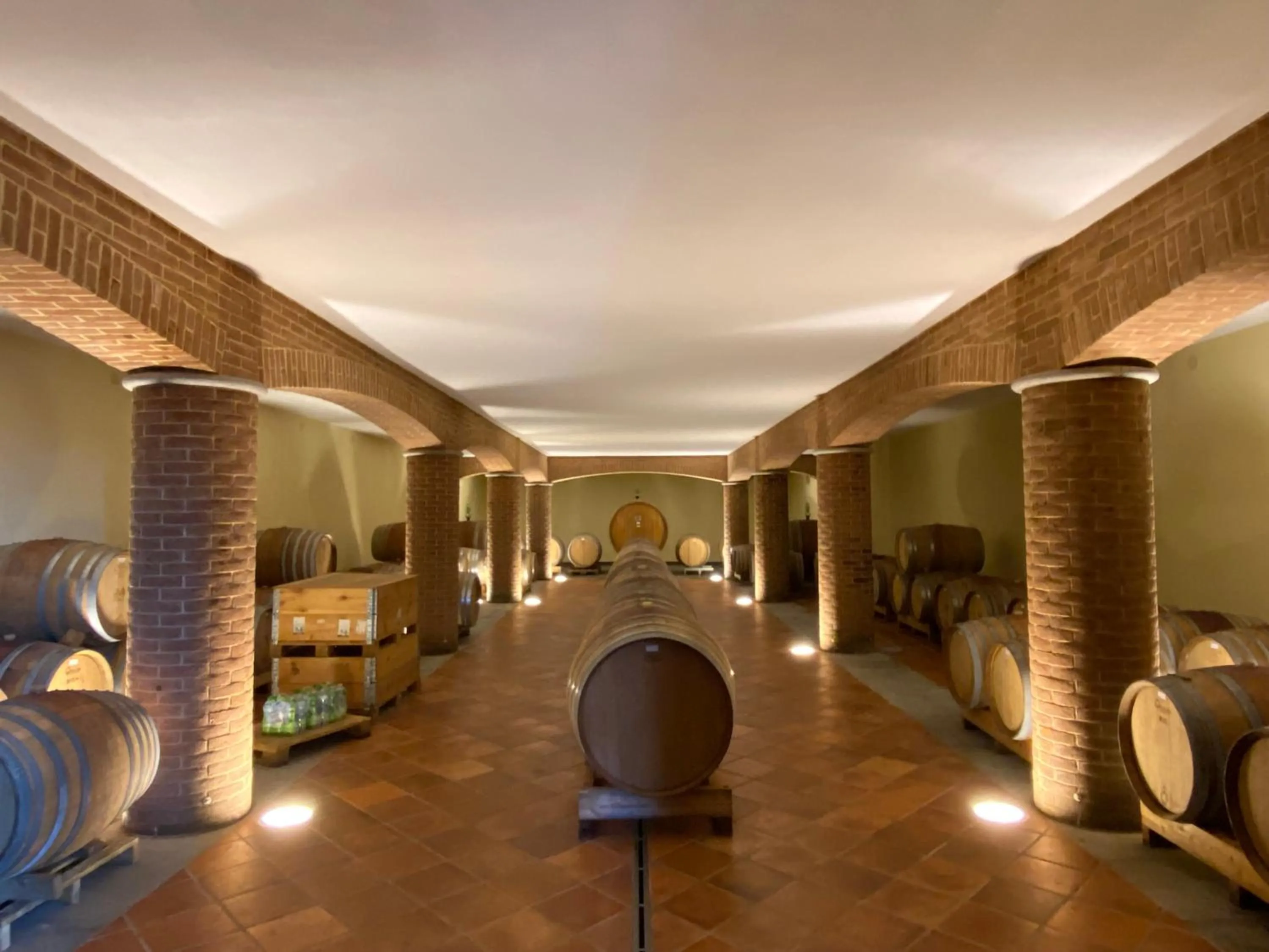 Alcoholic drinks in La Mondianese "House of Ruchè"