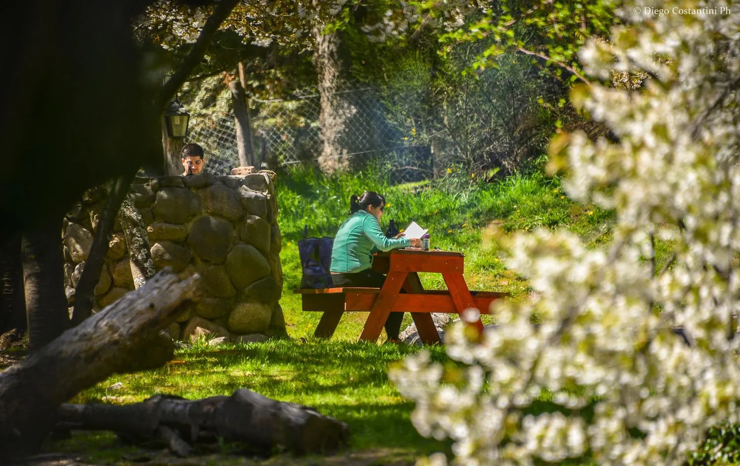 Spring in Cabañas Rucaleufu