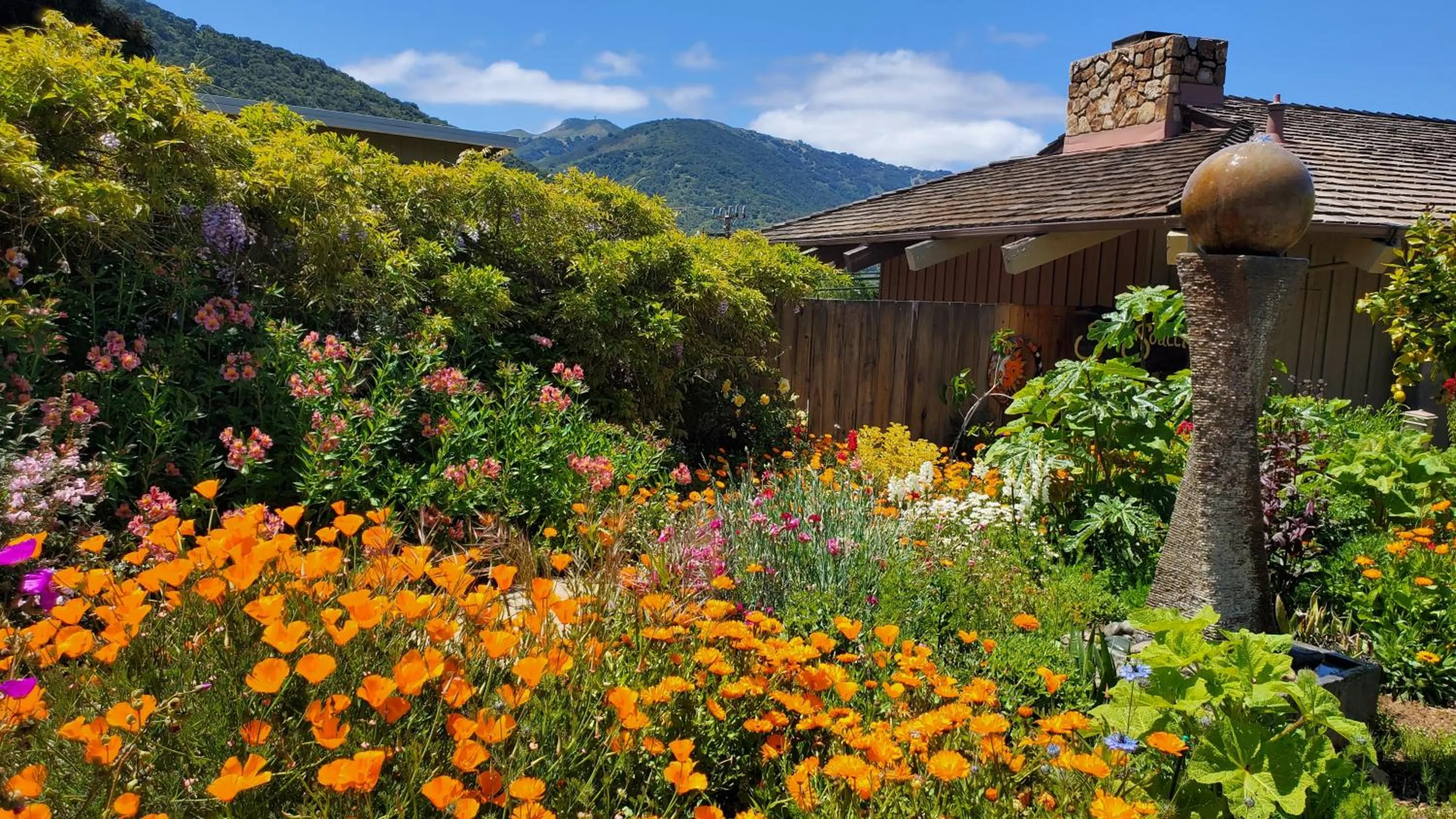 Garden in Carmel Valley Lodge