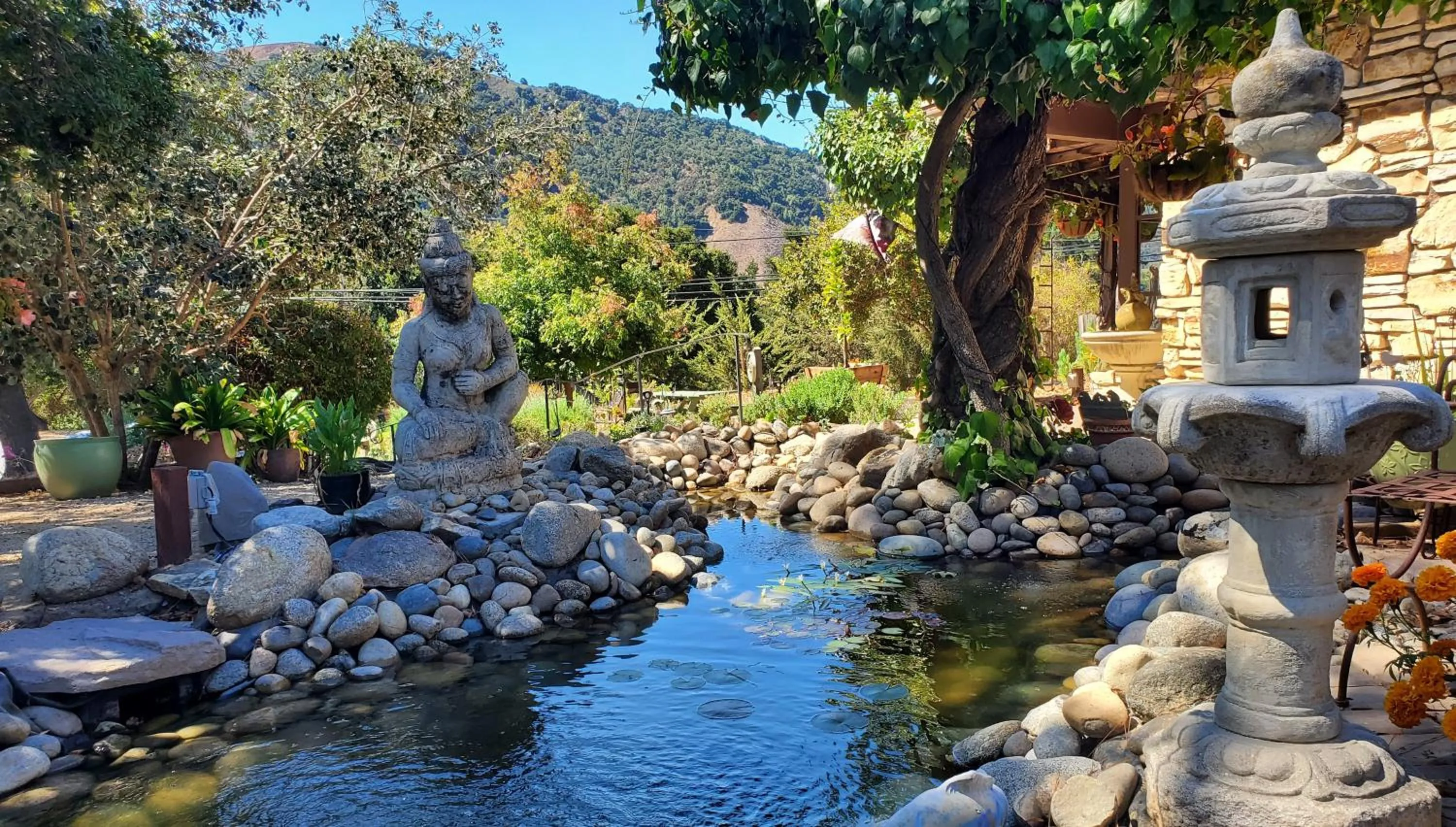 Garden in Carmel Valley Lodge