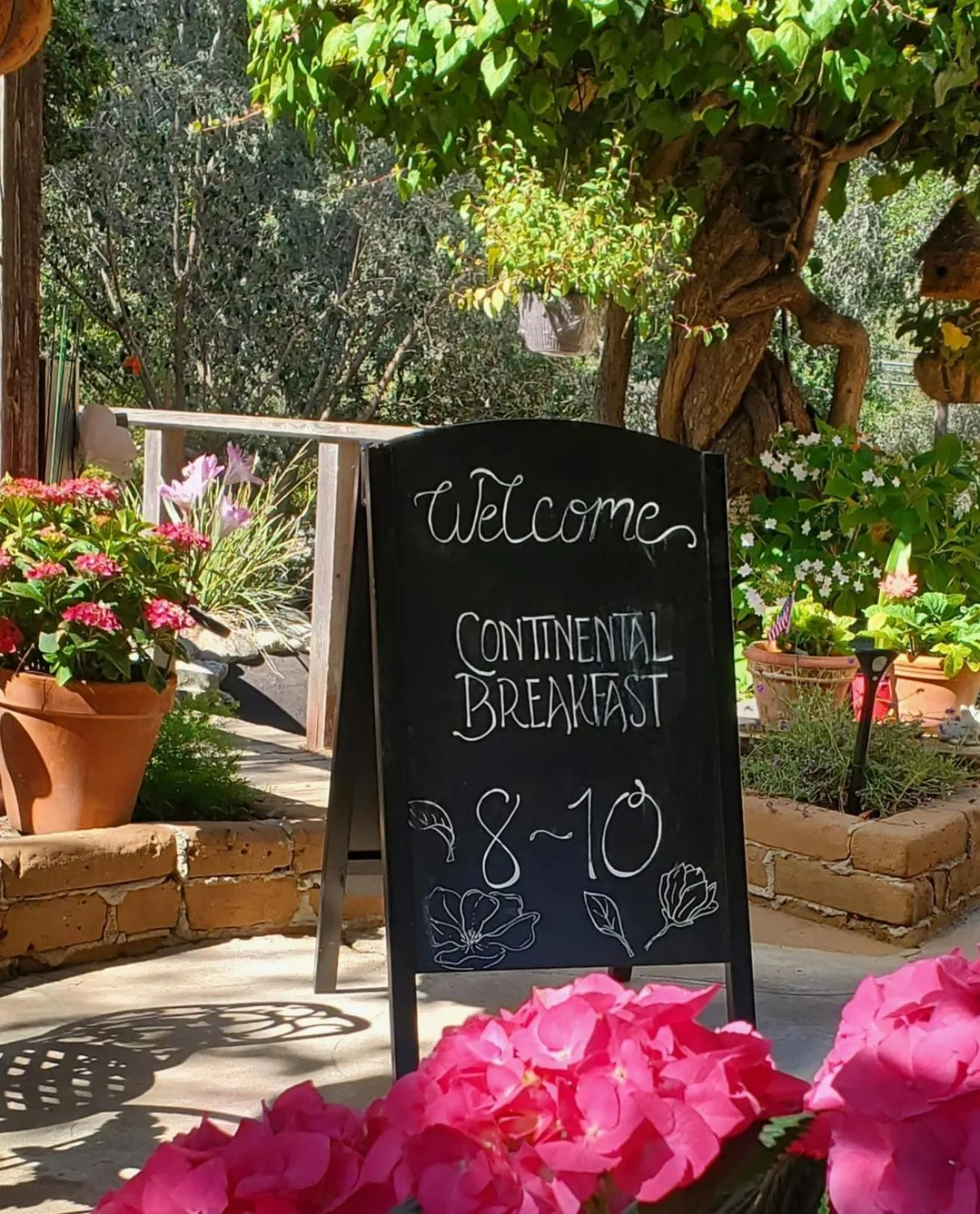 Breakfast in Carmel Valley Lodge