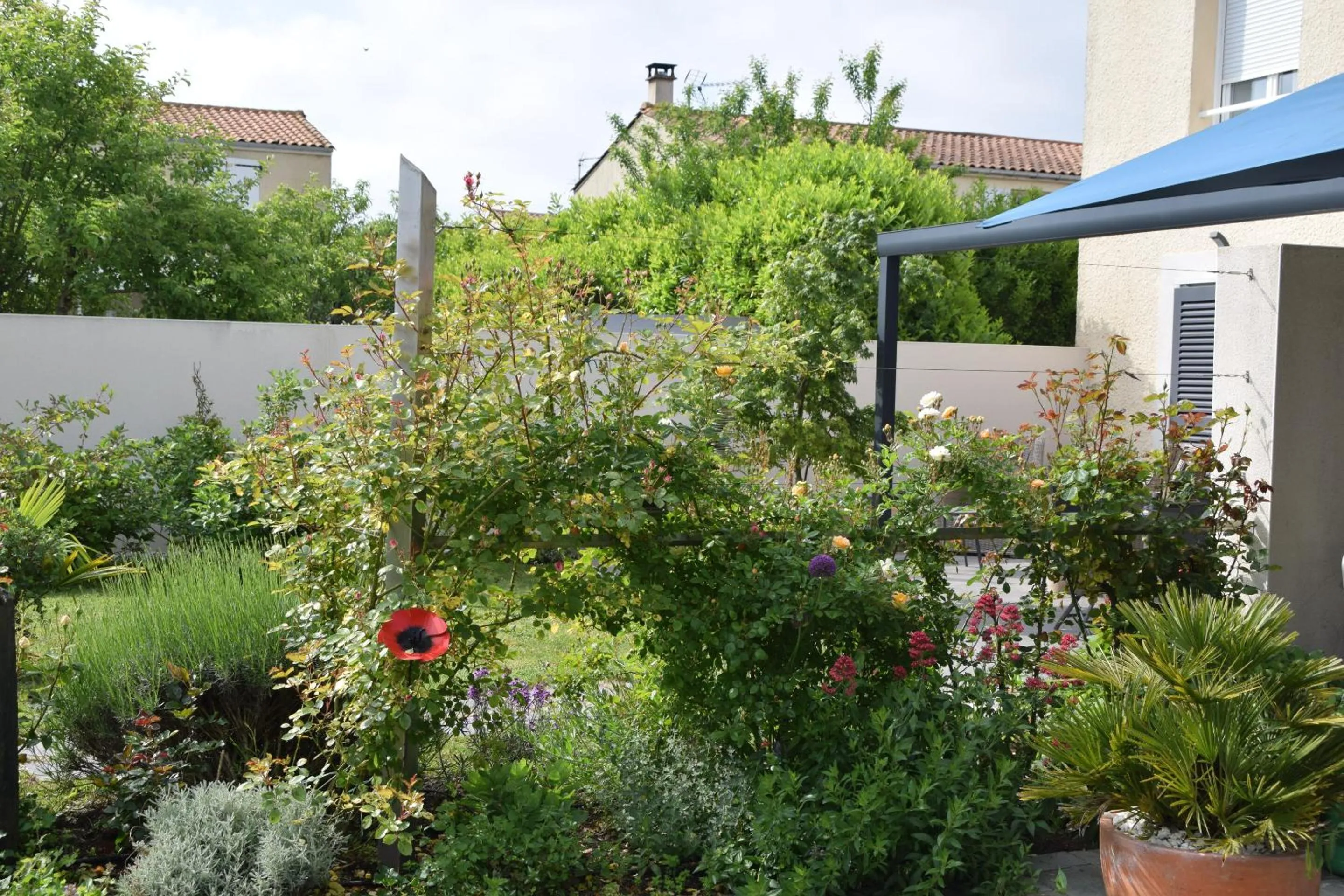 Natural landscape in La villa 13&15