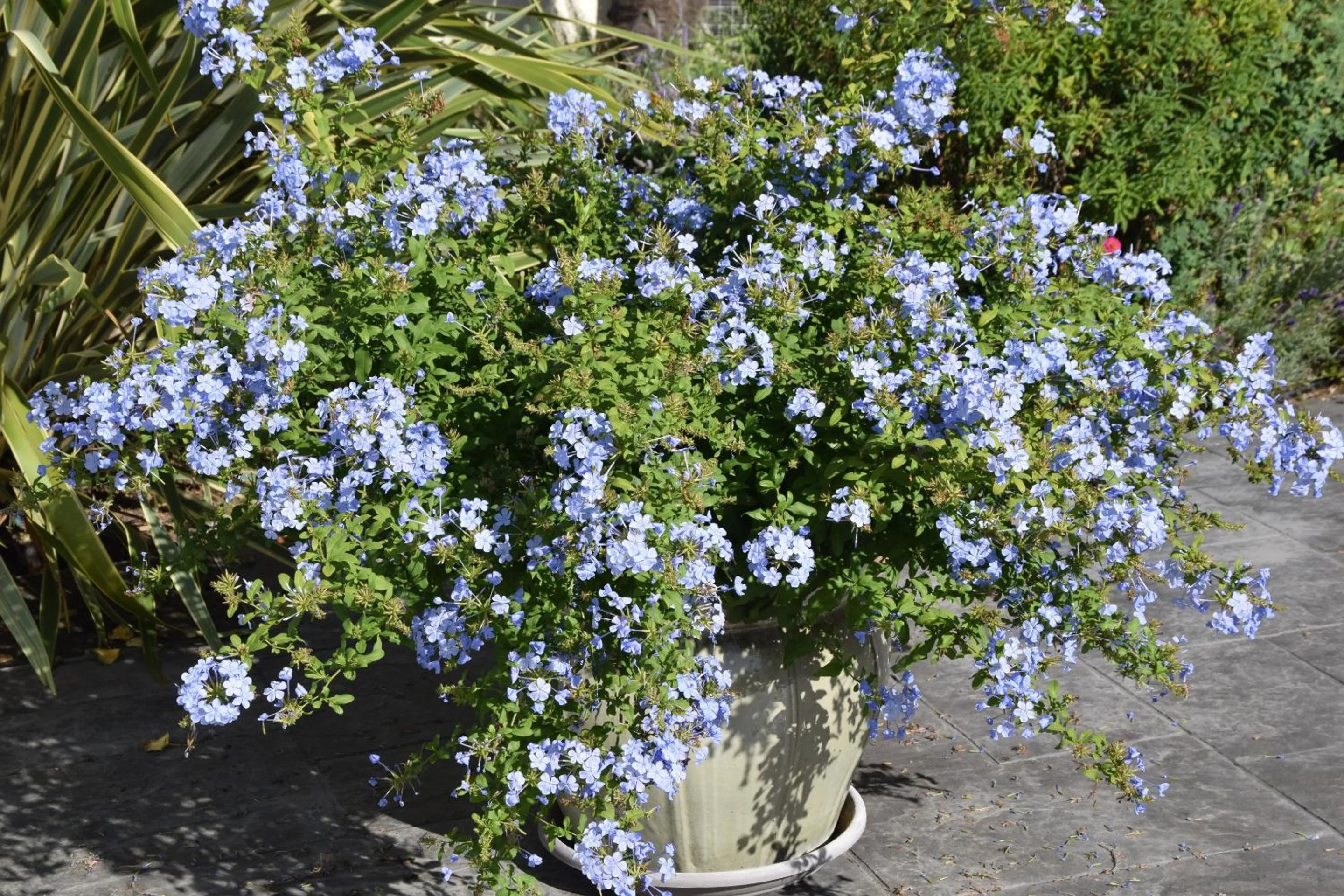 Property building in La villa 13&15