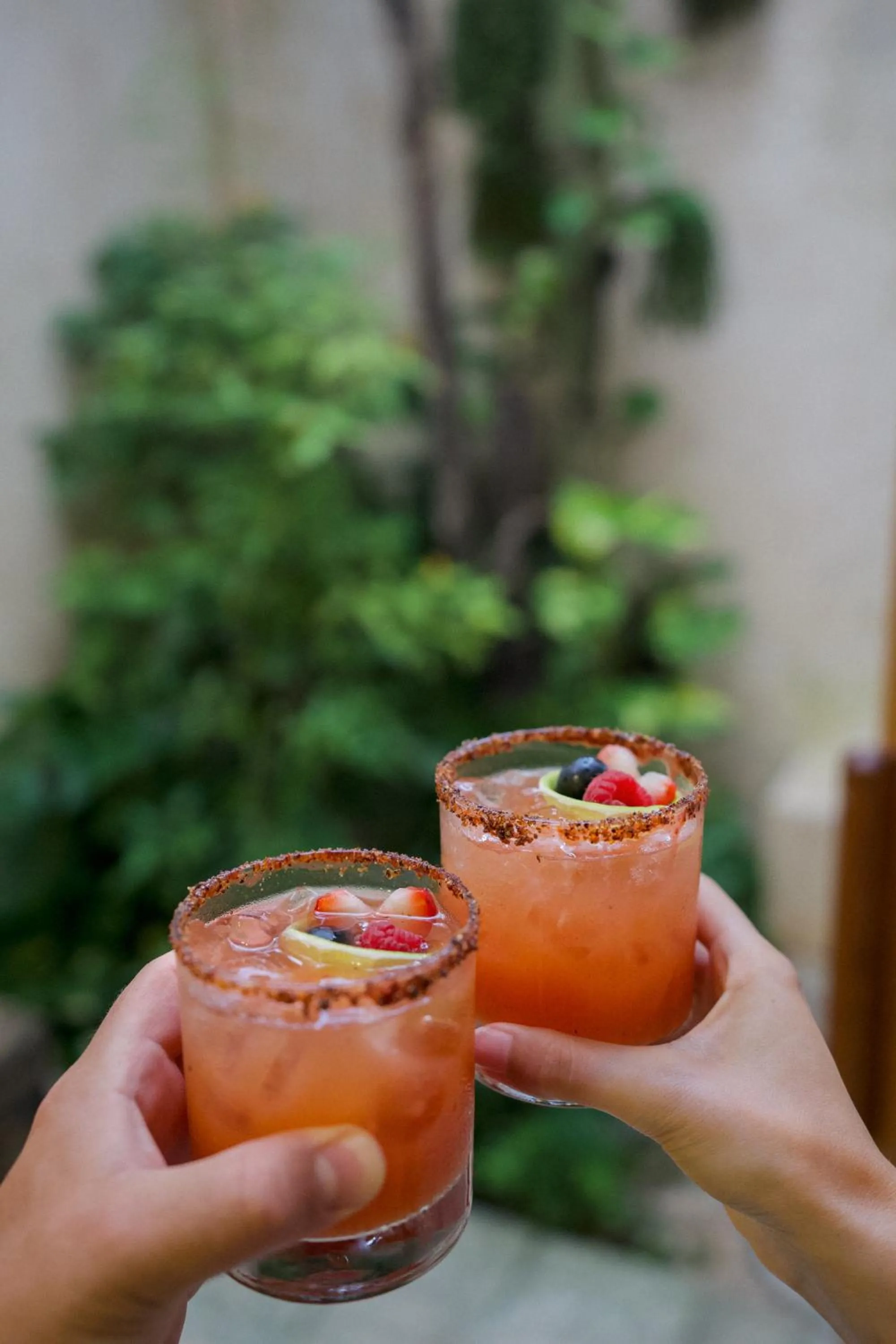 Colonte Hotel Origen