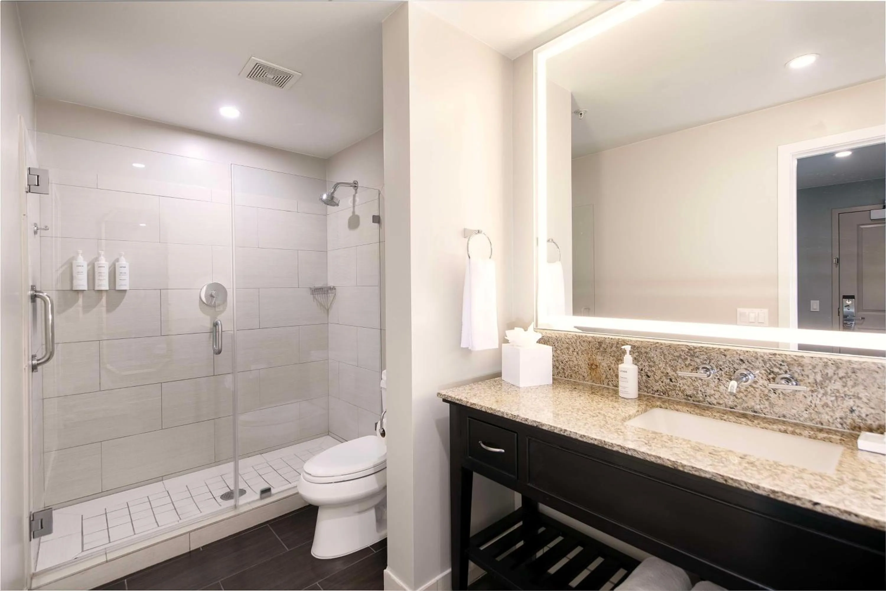 Bathroom in Jamaica Bay Inn Marina Del Rey Tapestry Collection by Hilton