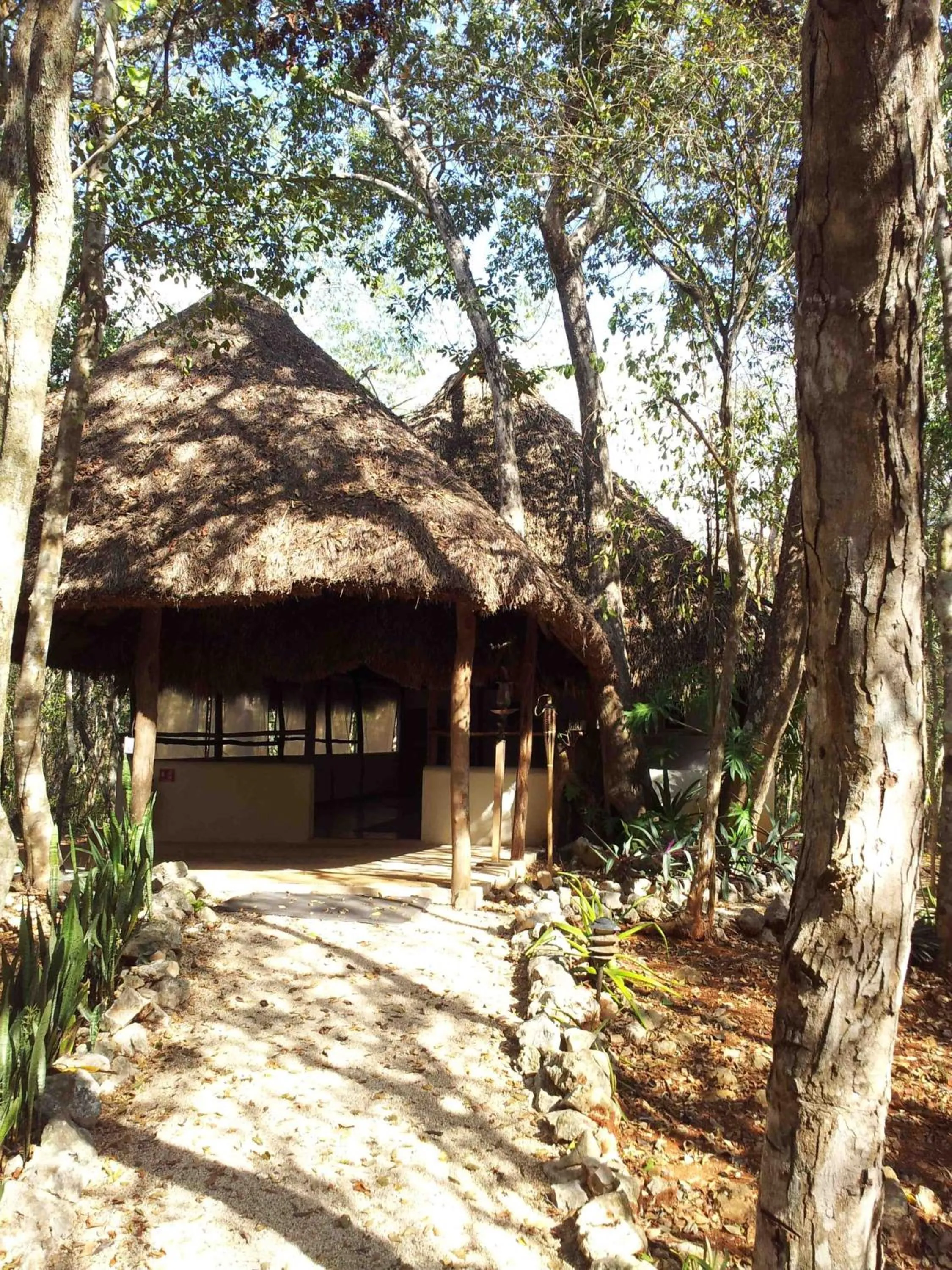 Area and facilities in Hotel Okaan