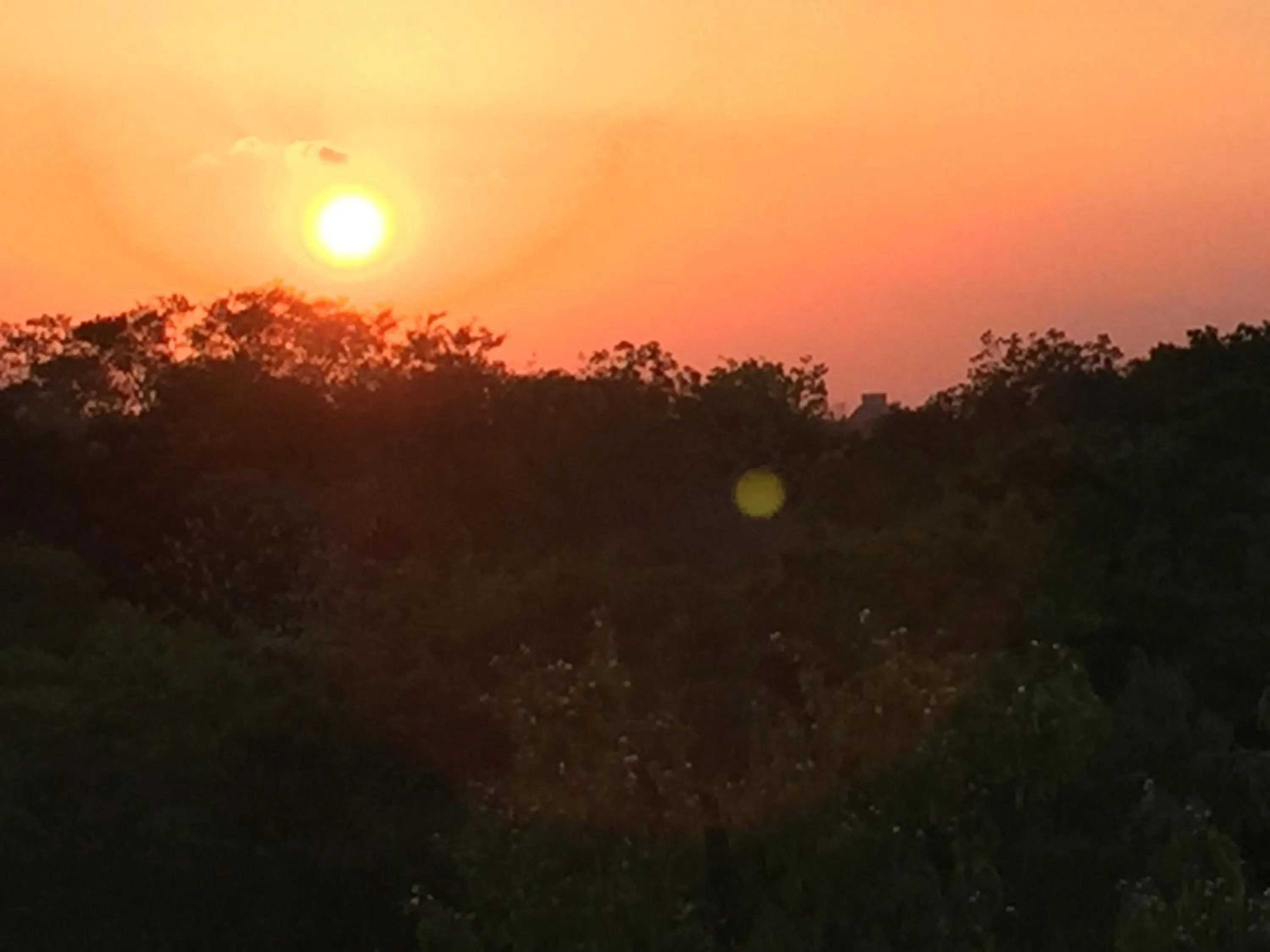 Garden view in Hotel Okaan