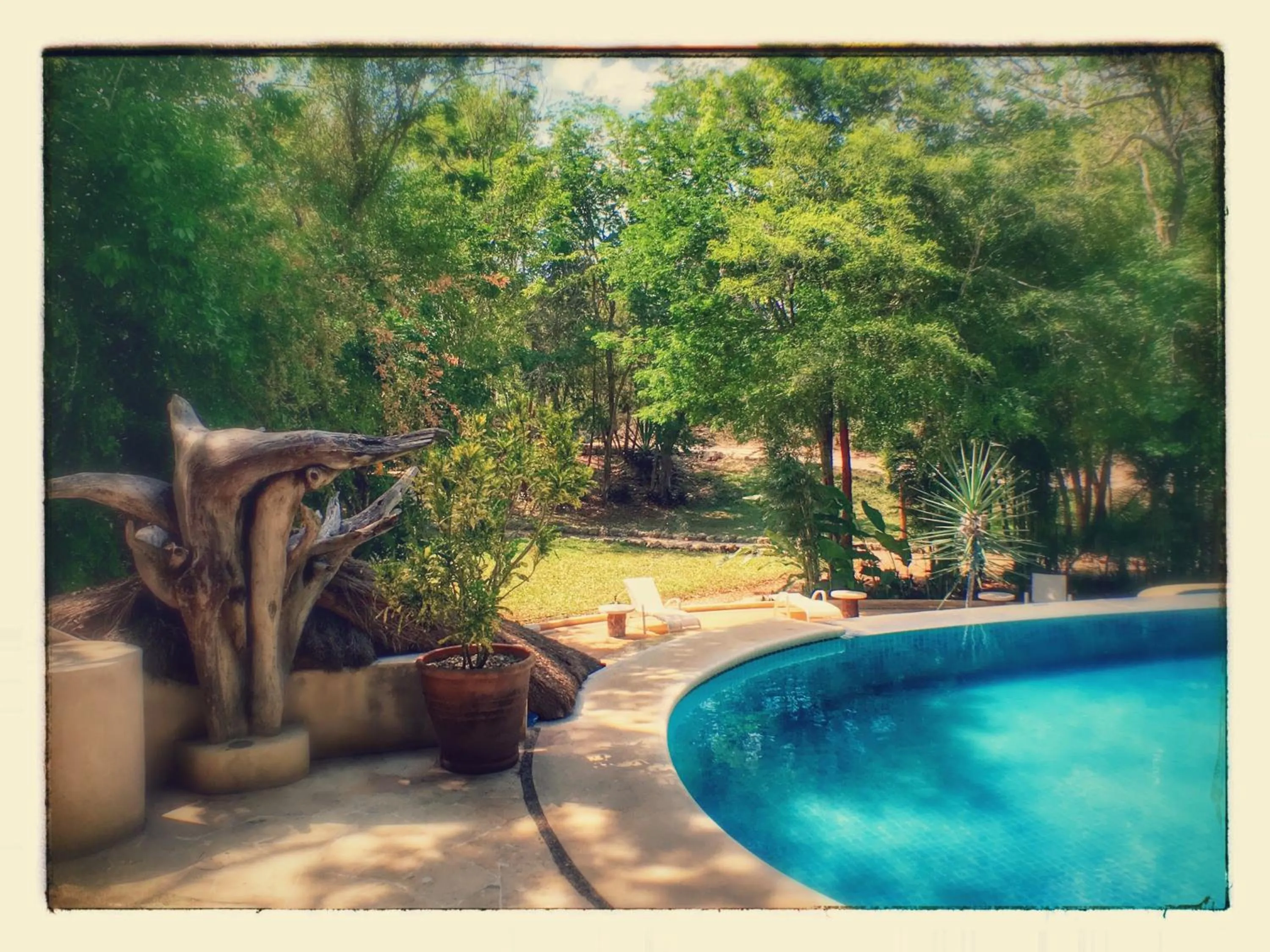 Swimming pool in Hotel Okaan
