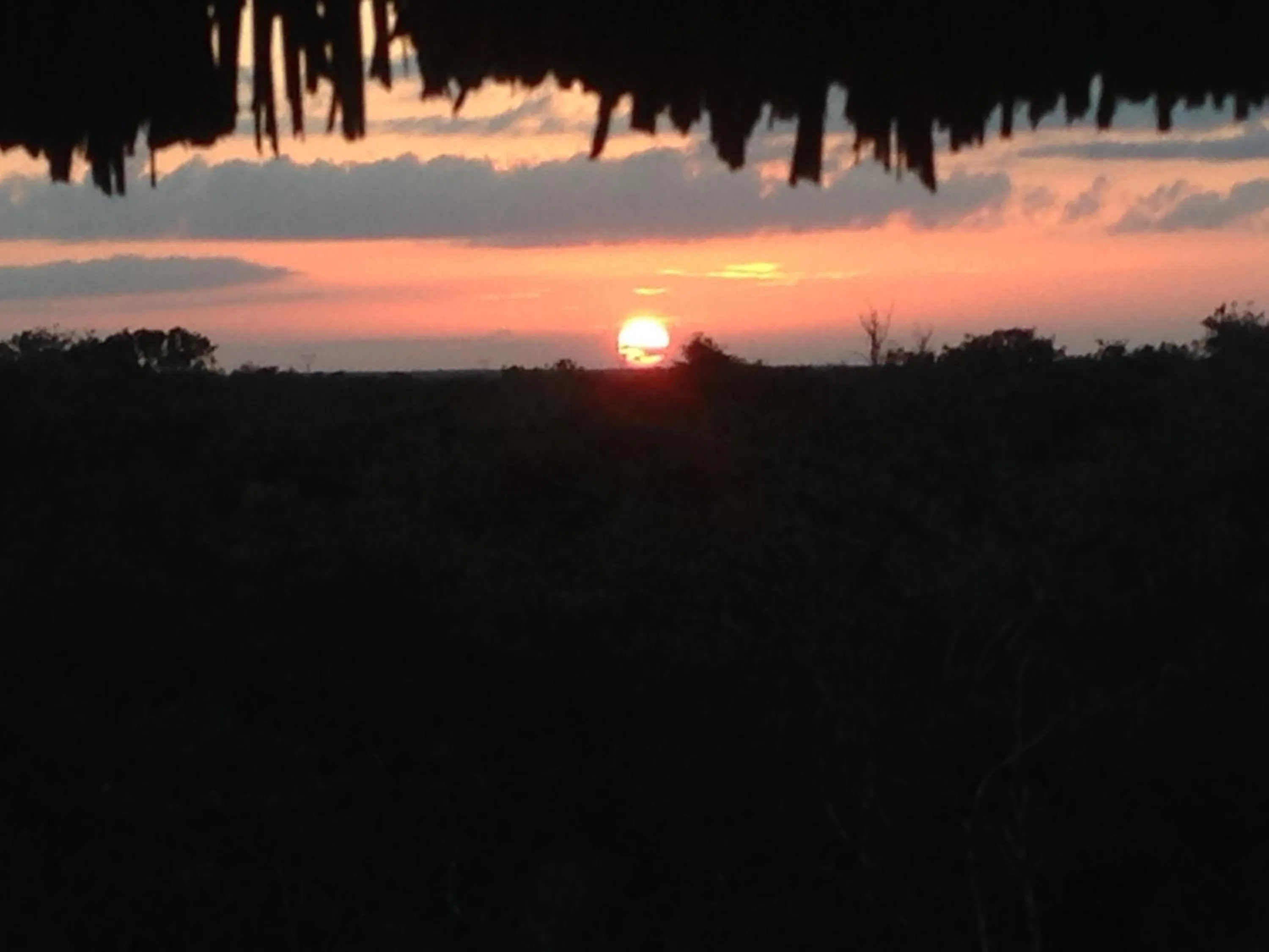 Garden view in Hotel Okaan