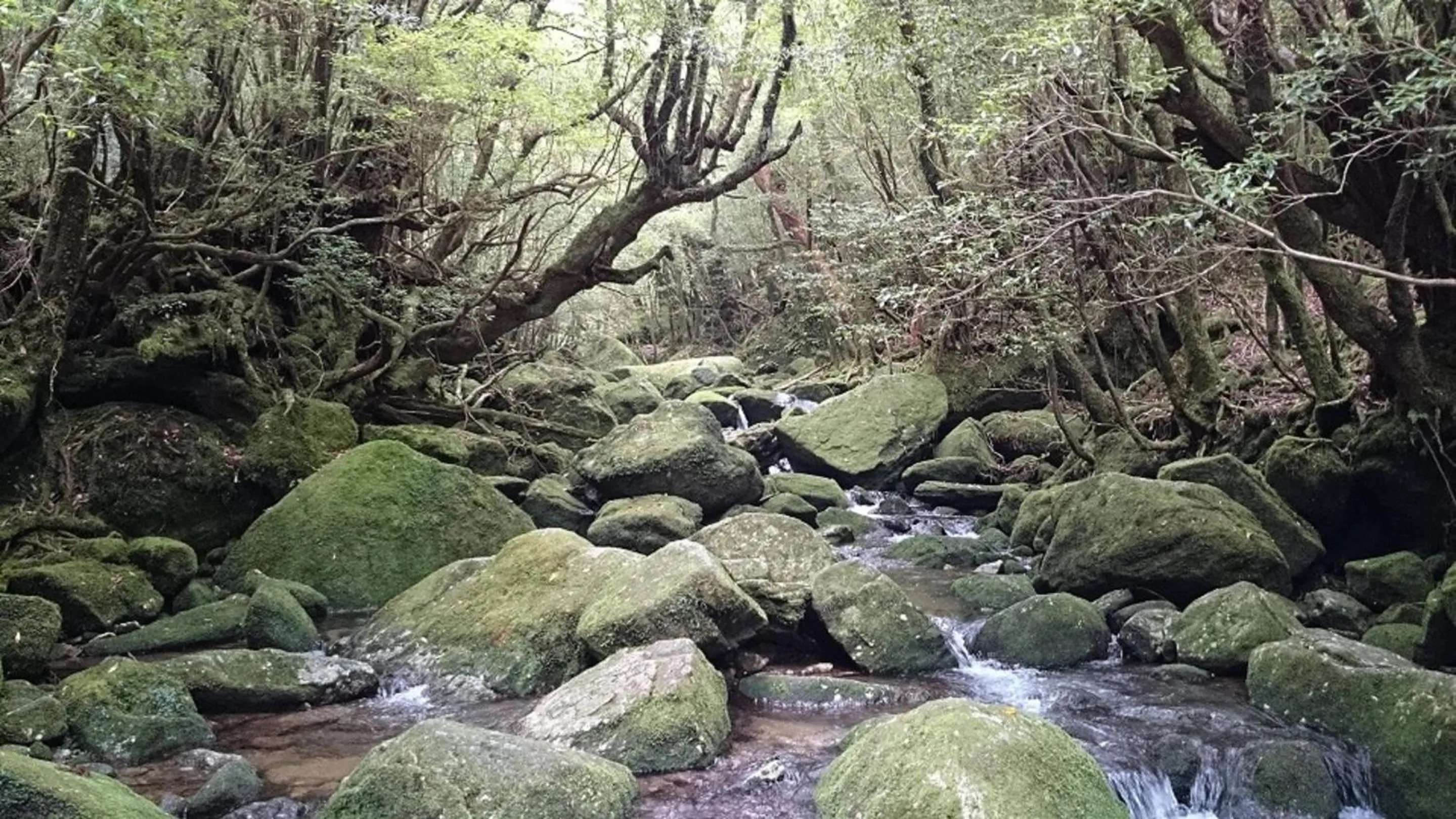 Location in Maetakeso