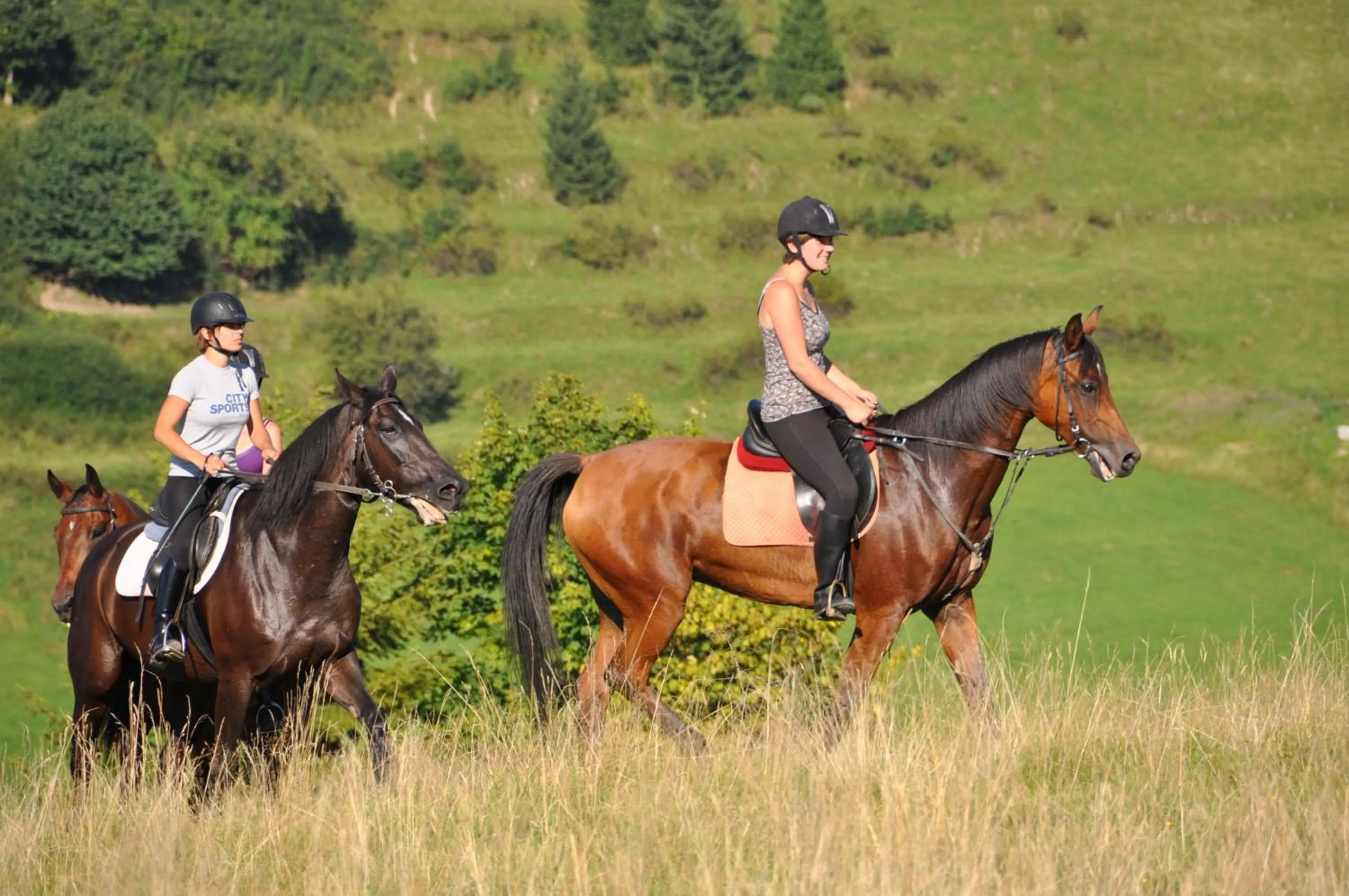 Hotel Nawigator Szczawnica