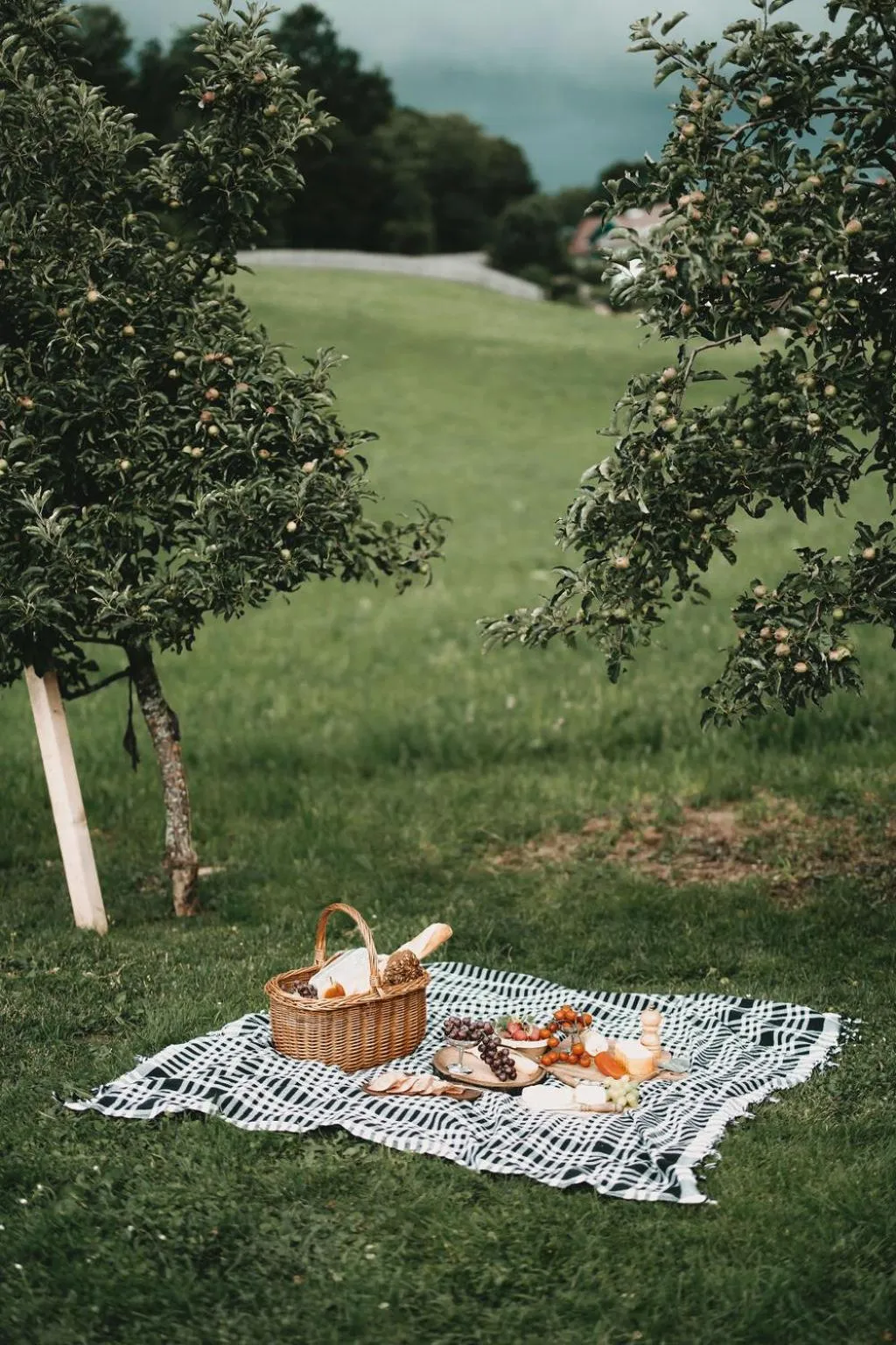 Garden in Hotel Rosenhof Murau