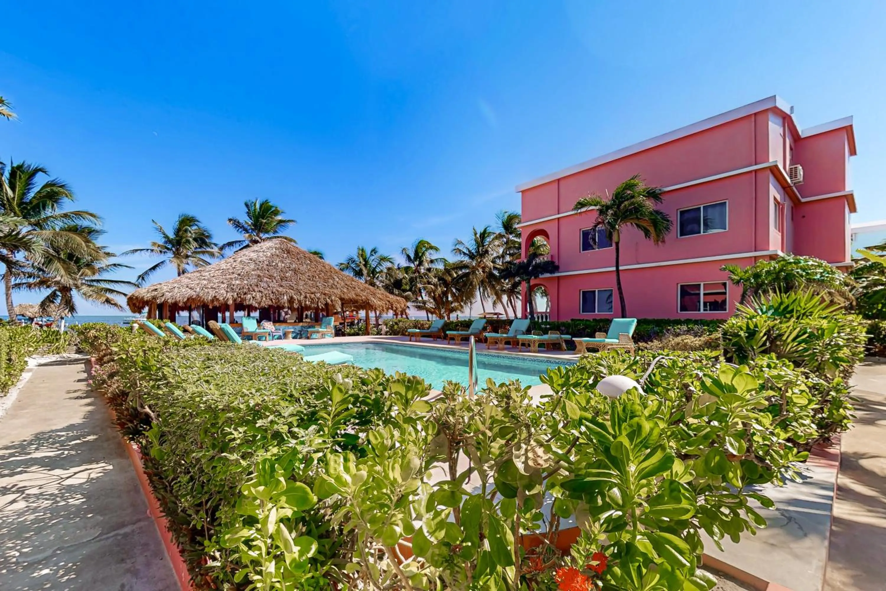 Zinnia @ Caribe Island