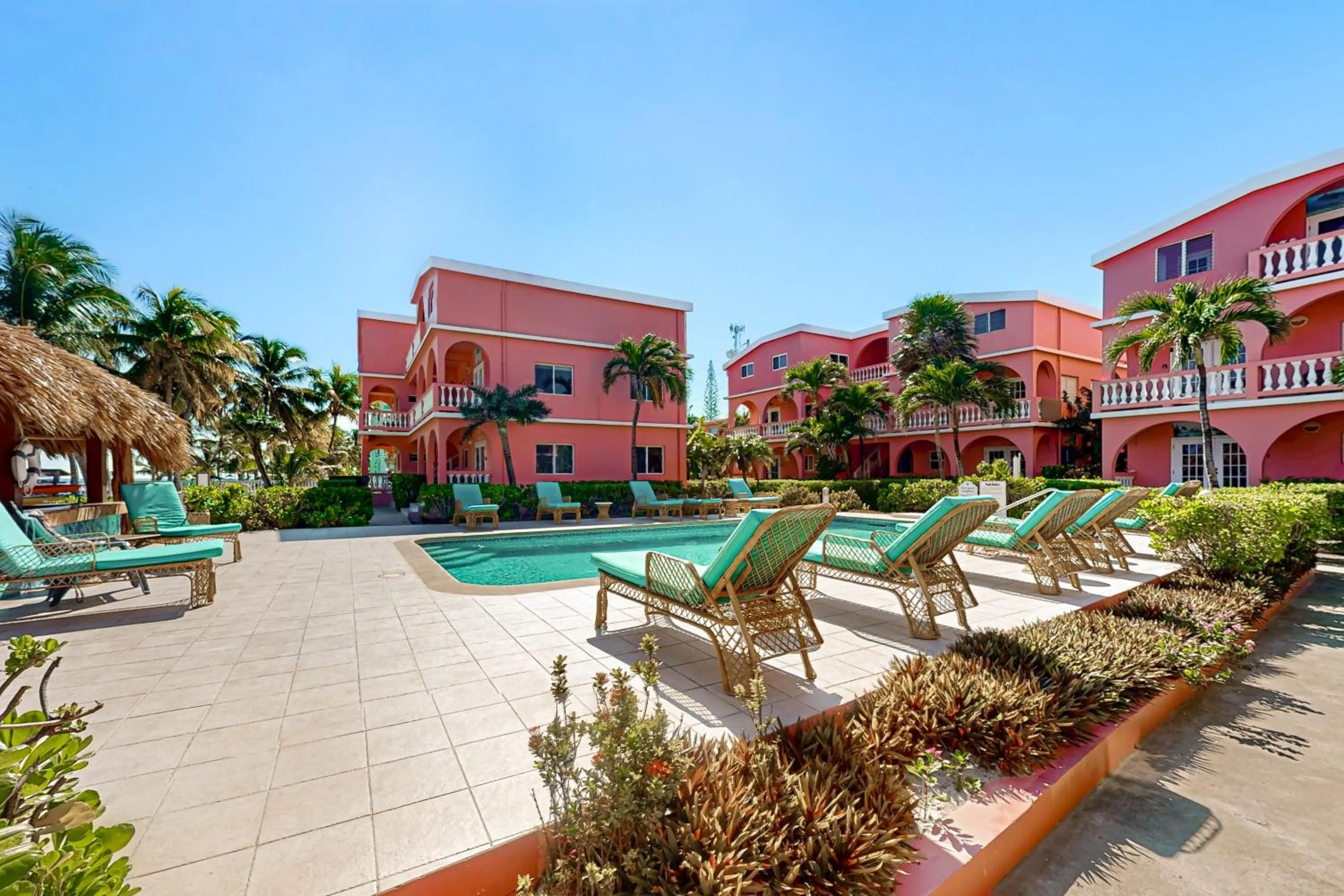 Zinnia @ Caribe Island