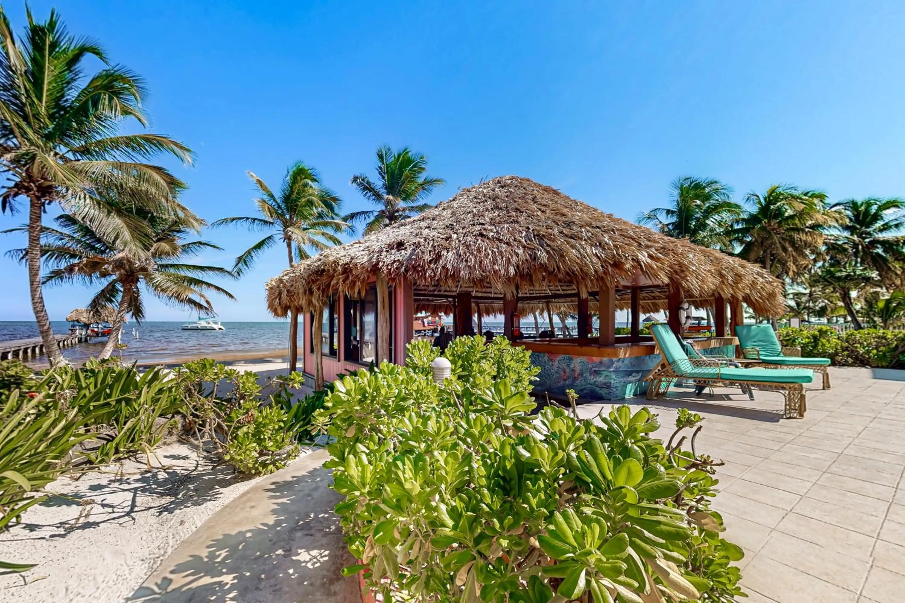 Zinnia @ Caribe Island