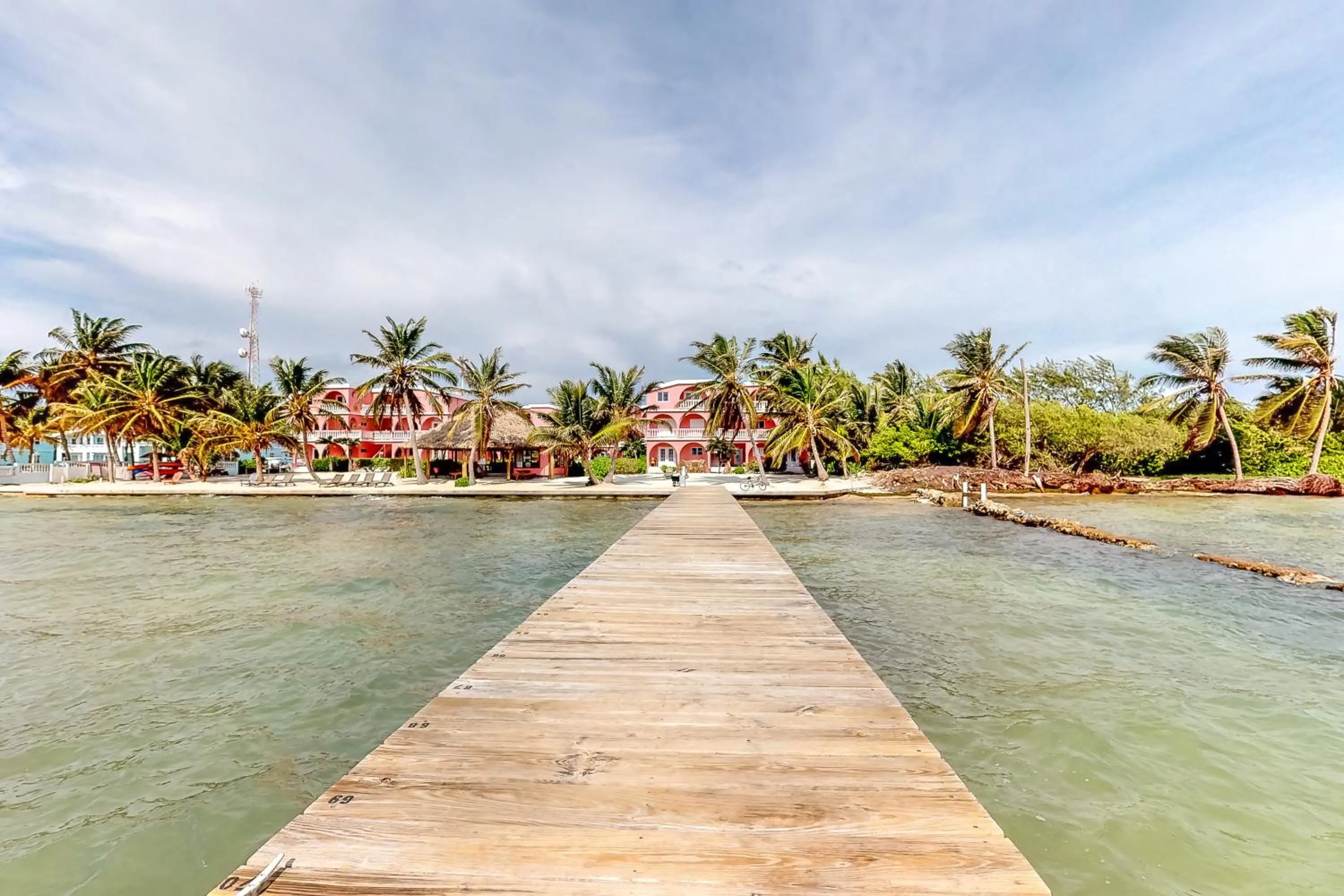 Zinnia @ Caribe Island