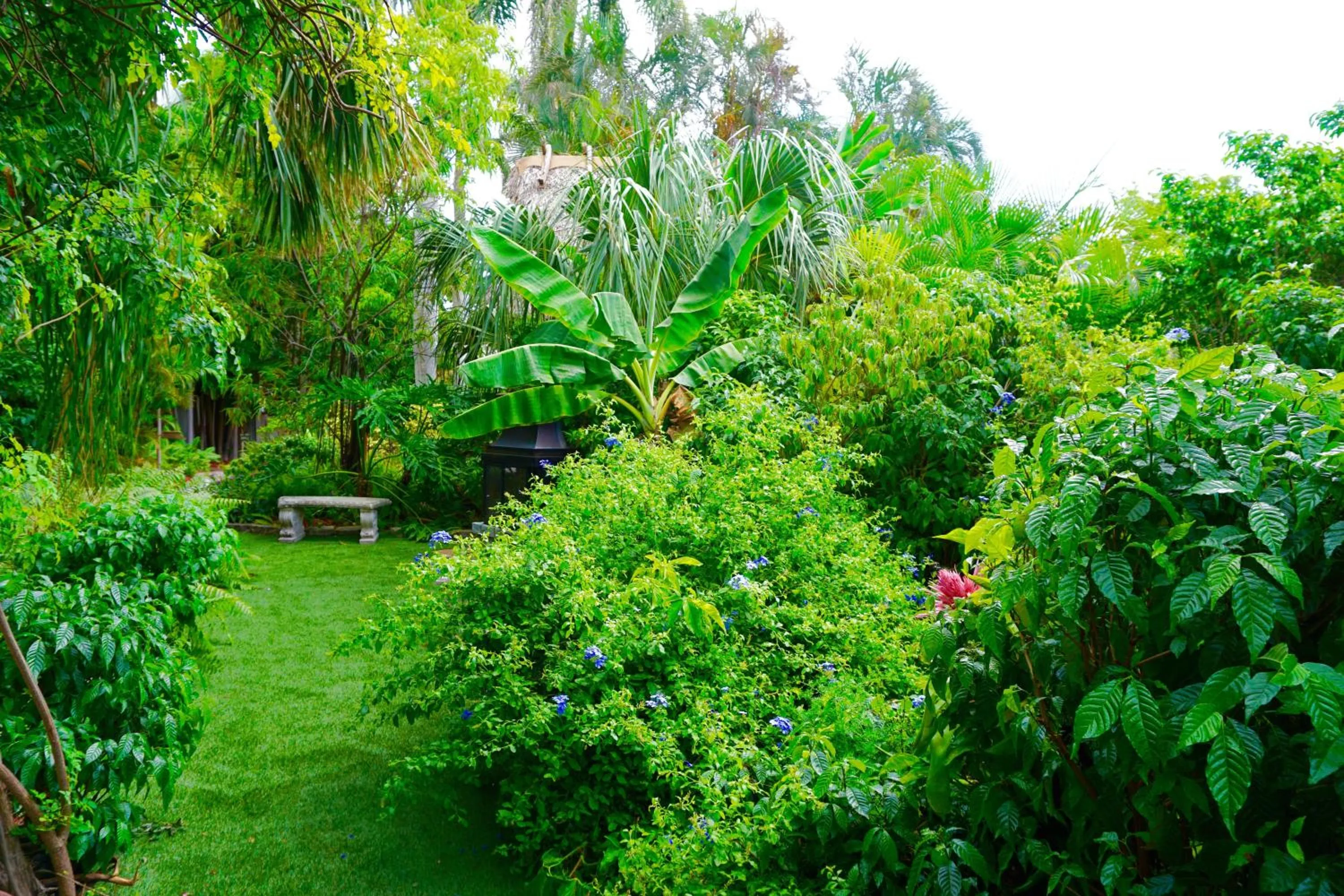 Garden in Riverside by the Beach Apartments