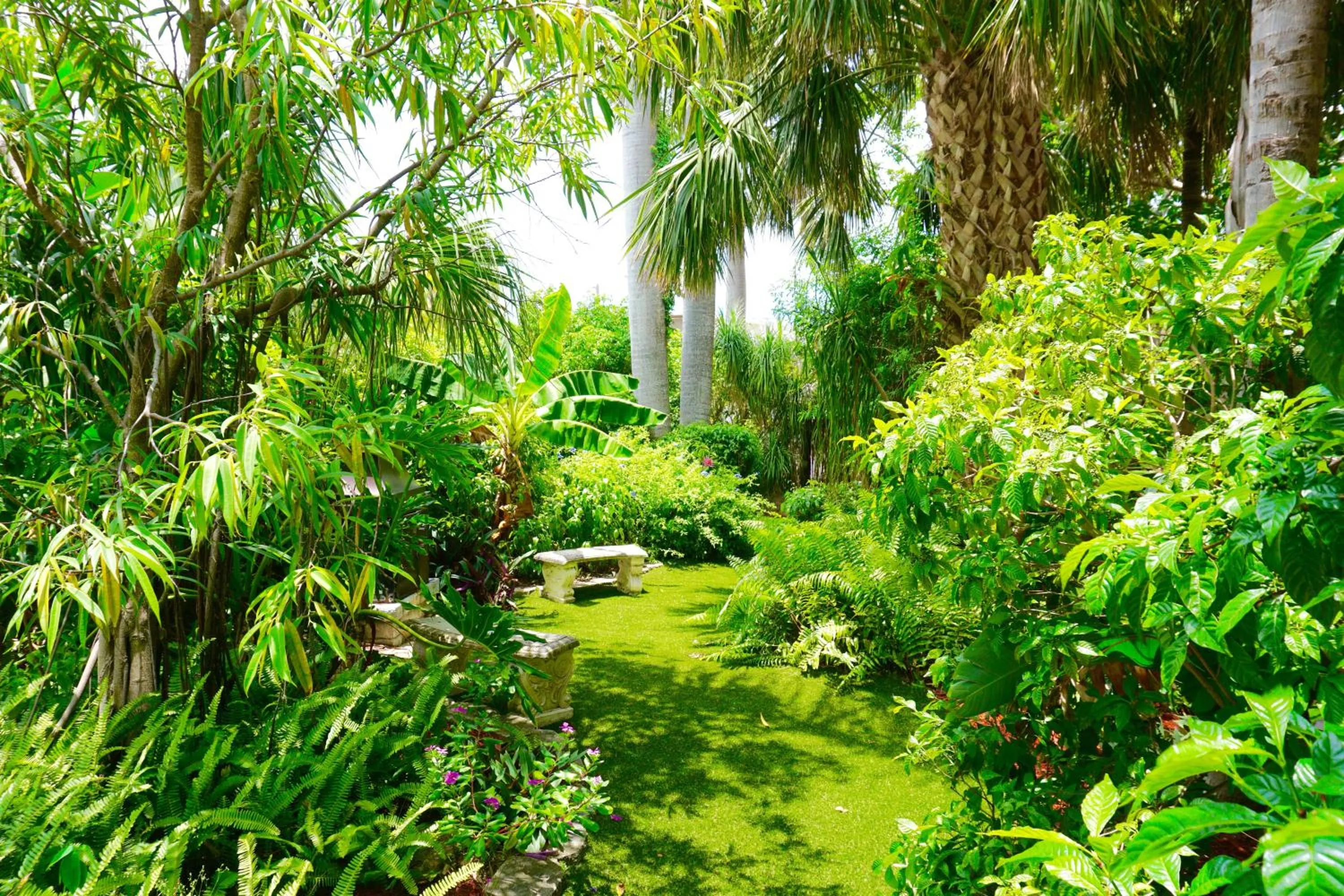 Garden in Riverside by the Beach Apartments