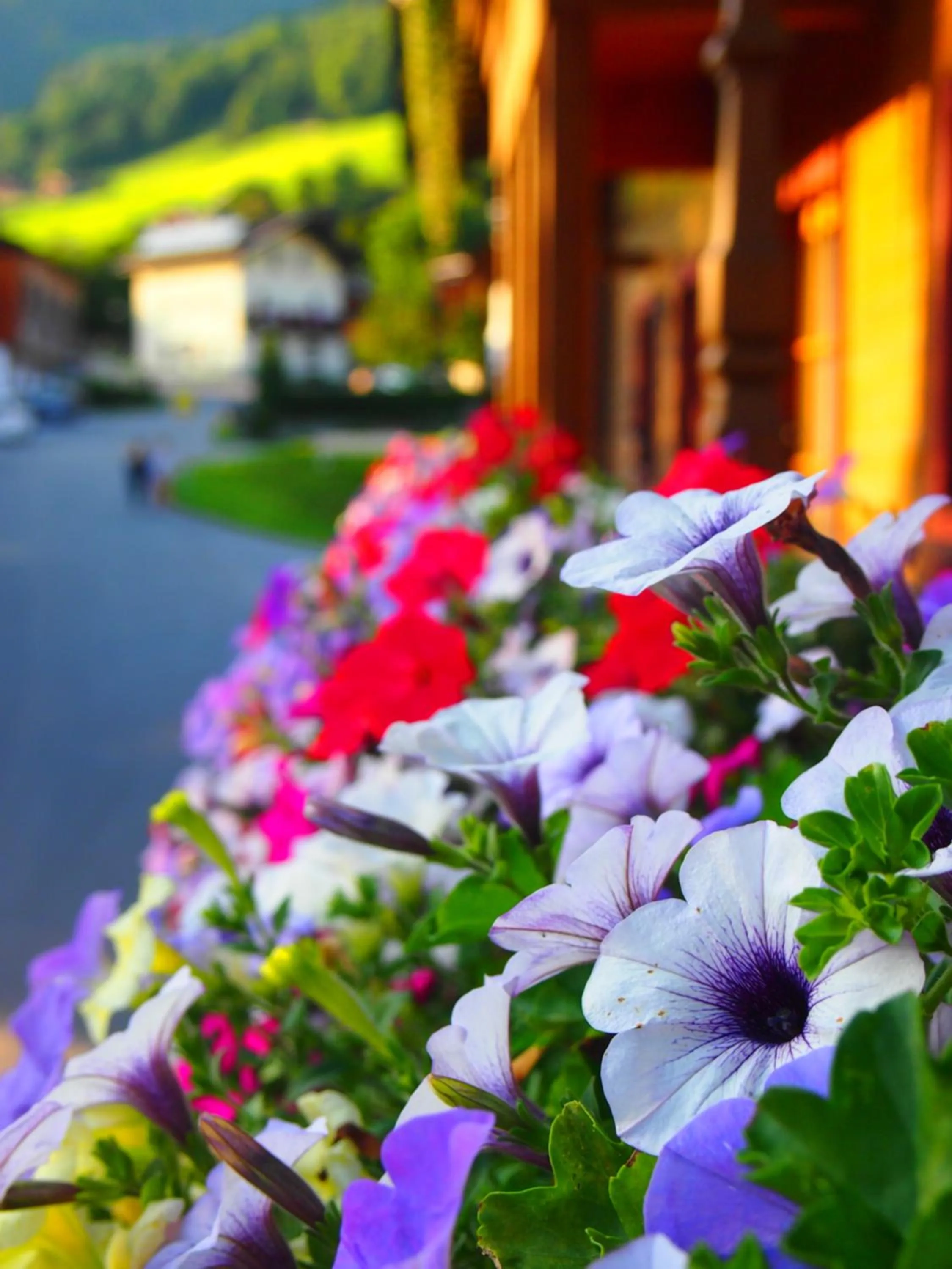 Summer in Tischlerwirt