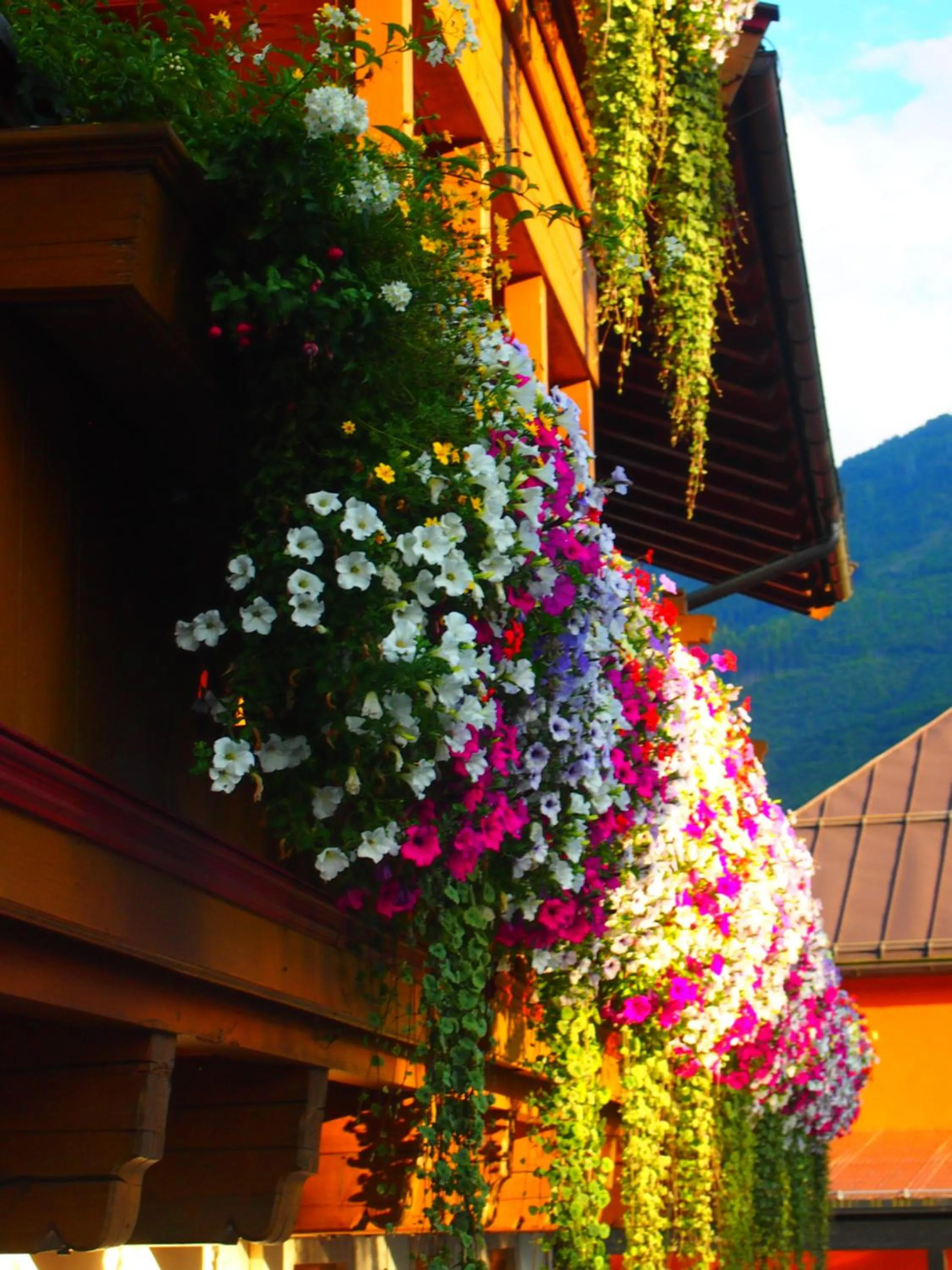 Summer in Tischlerwirt