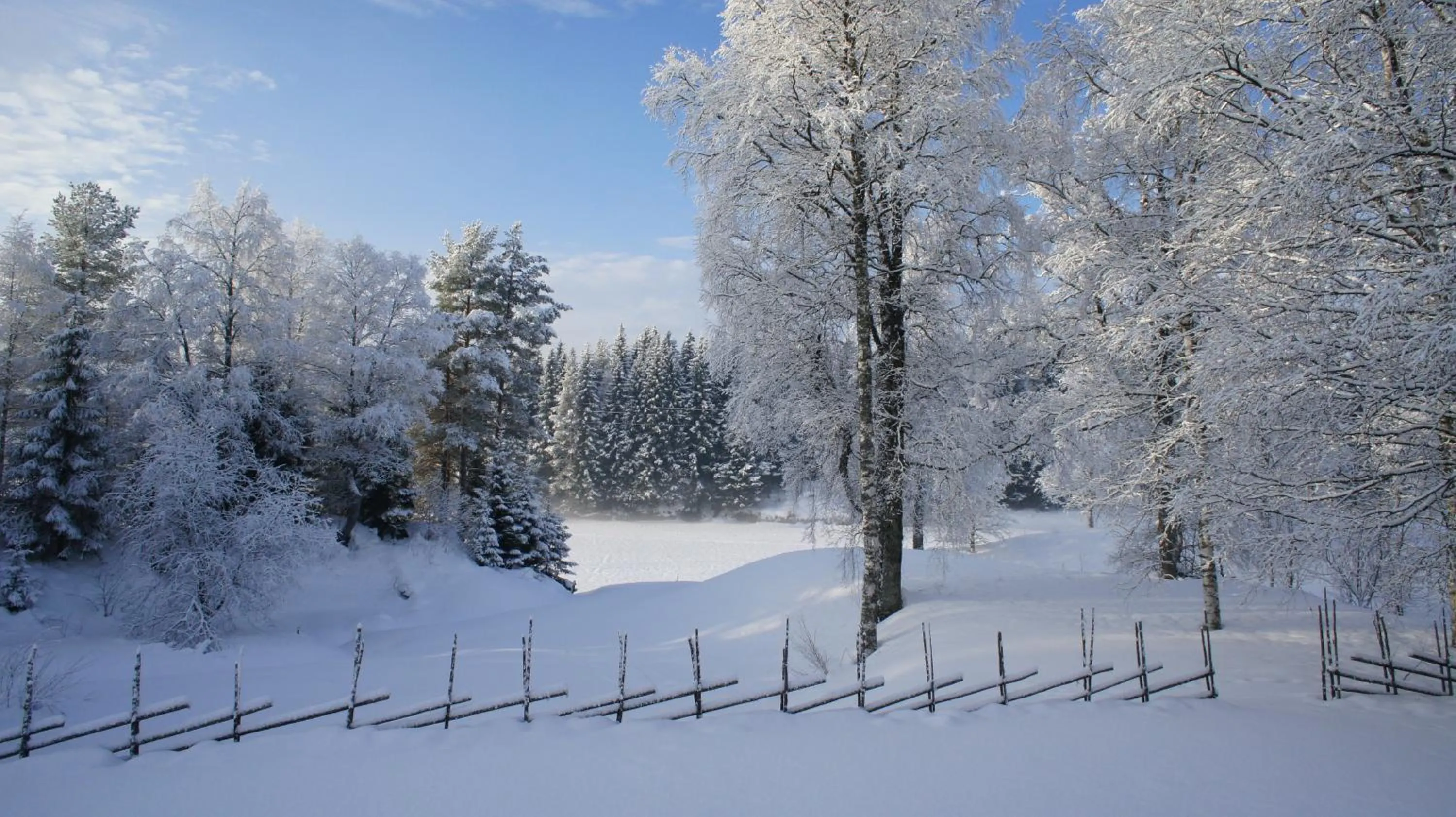 Garden in Mannflogården Bed & Breakfast , Sälenfjällen
