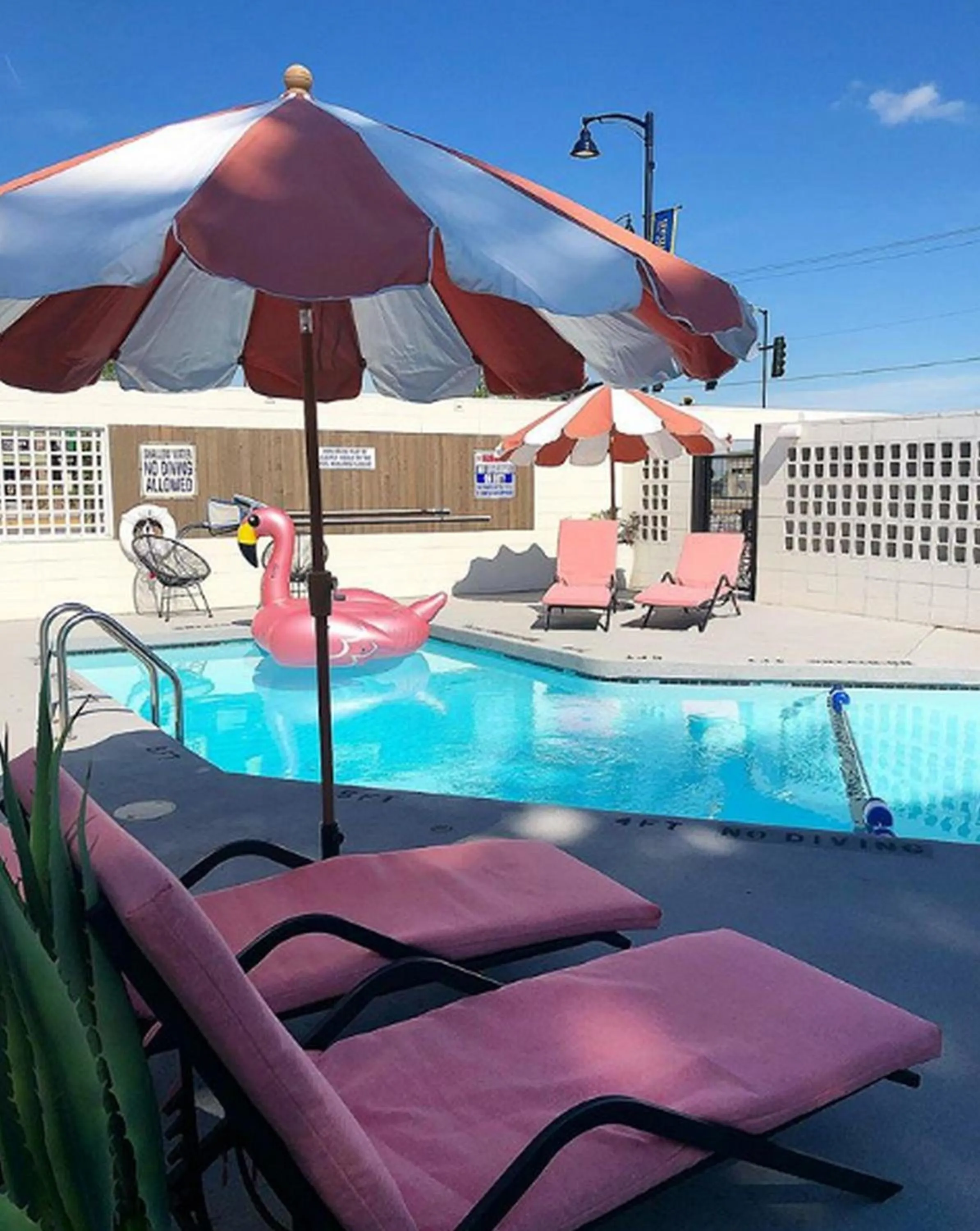 Swimming pool in RSVP Hotel