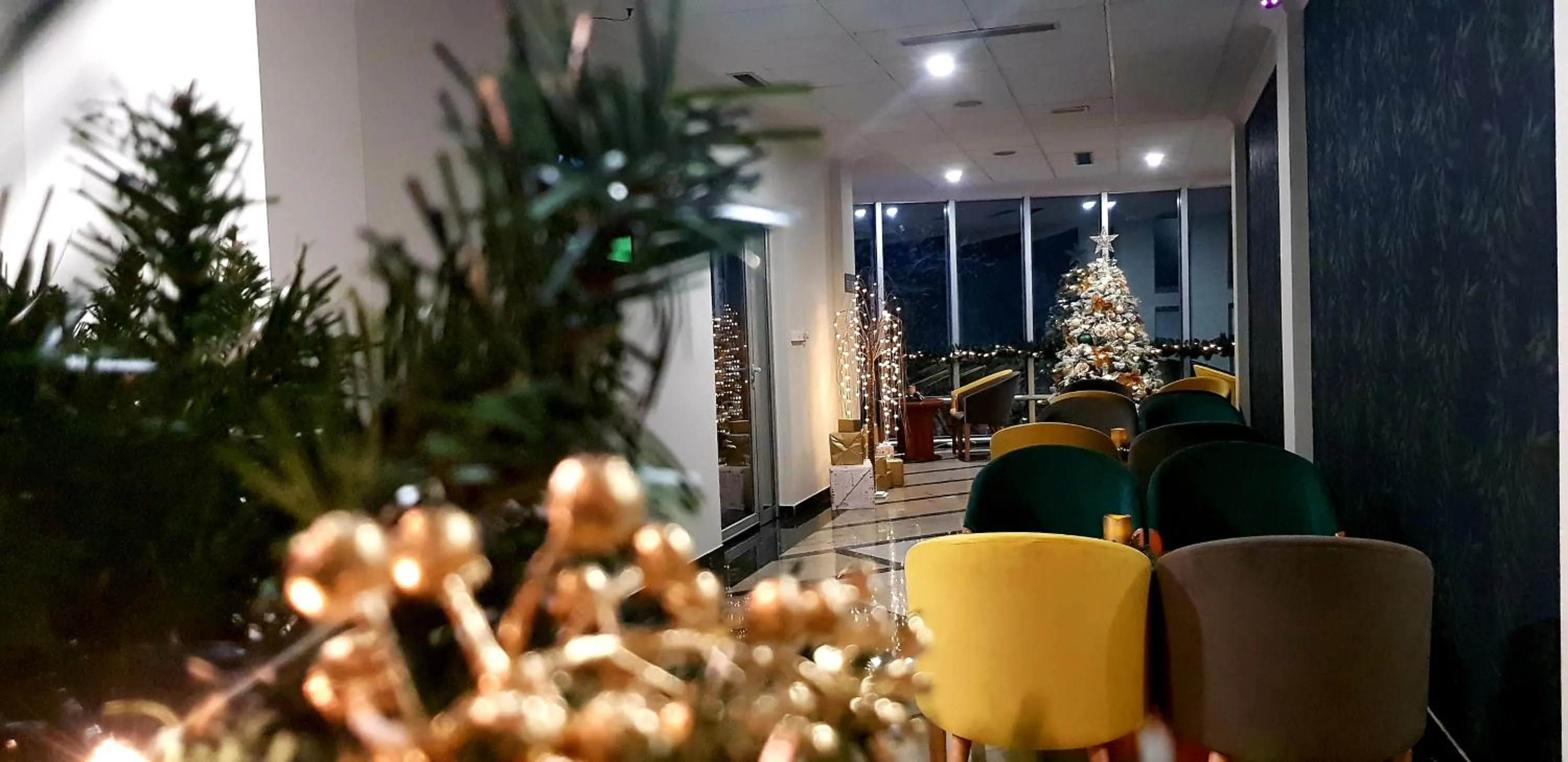 Lounge or bar in Hotel CITY