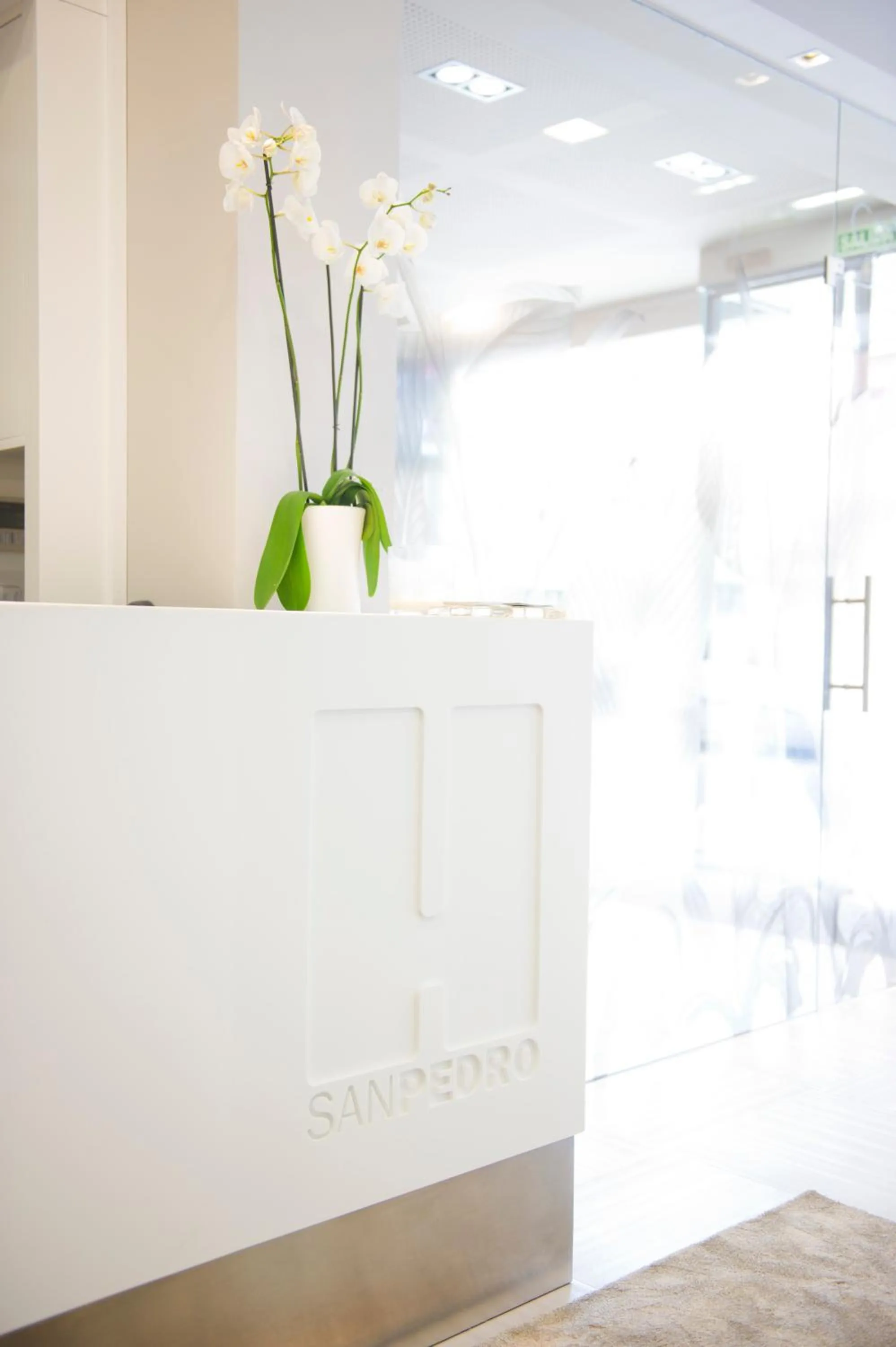 Lobby or reception in Hotel San Pedro