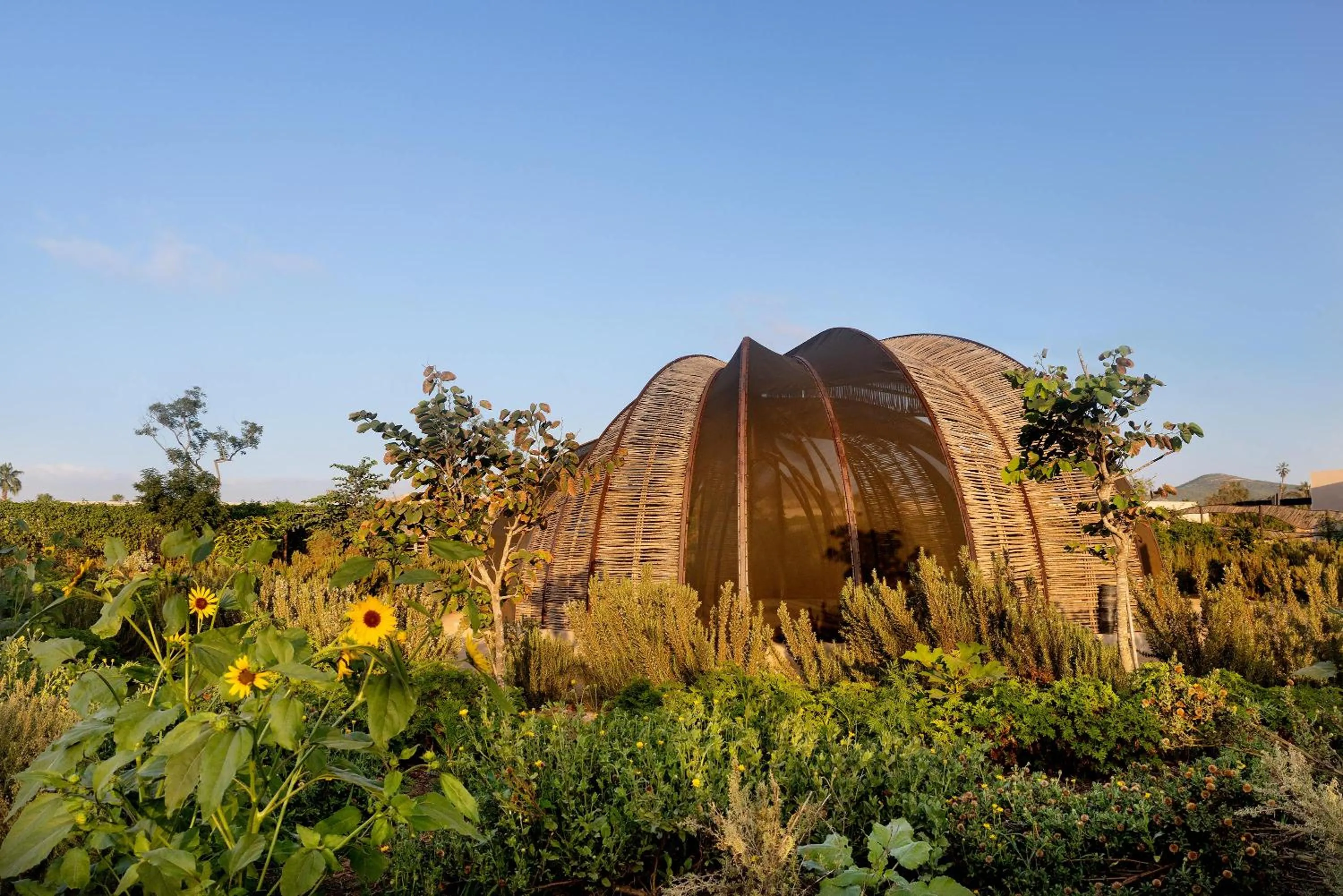 Garden in Kimpton Mas Olas Resort and Spa