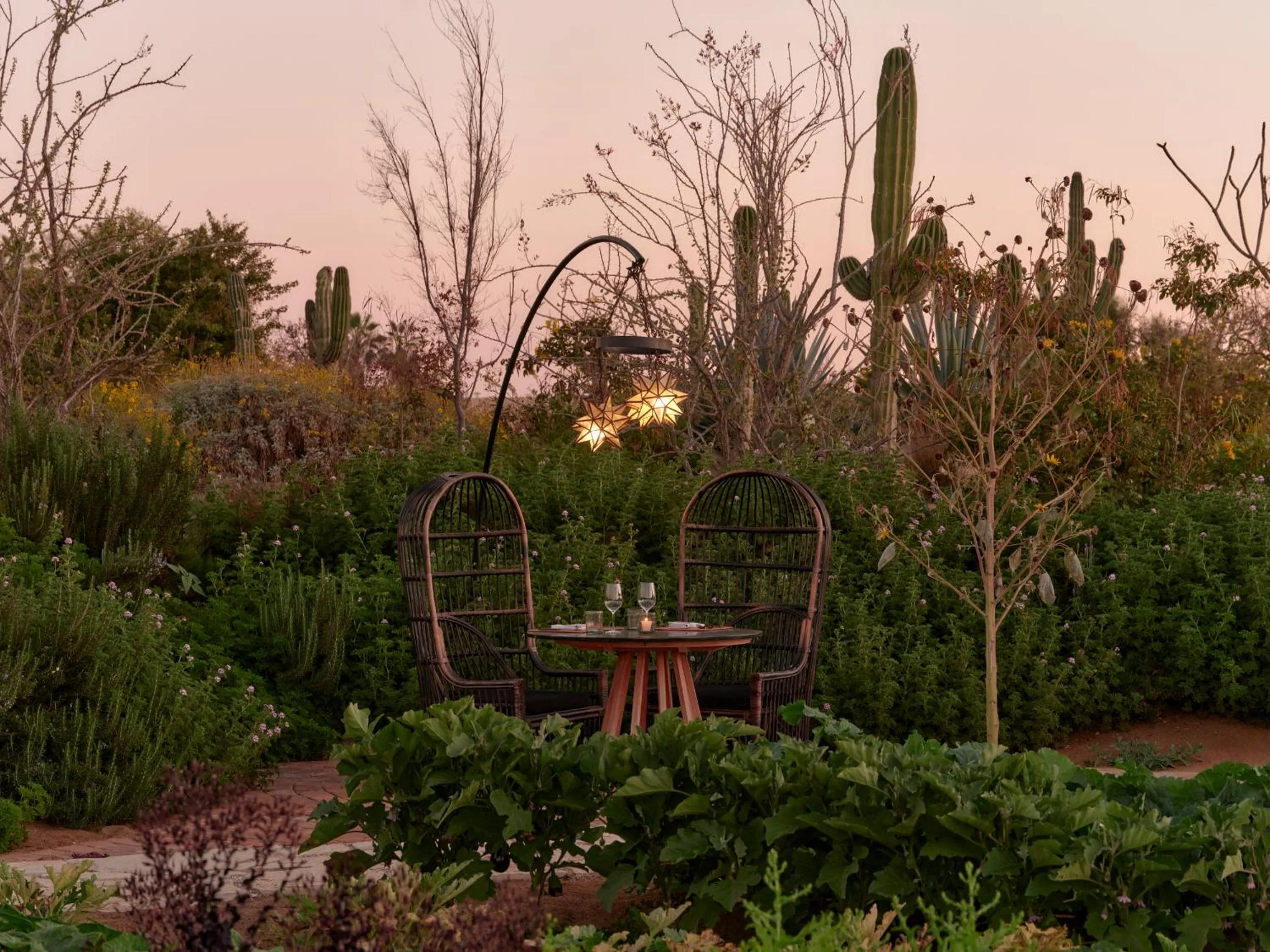 Restaurant/places to eat in Kimpton Mas Olas Resort and Spa