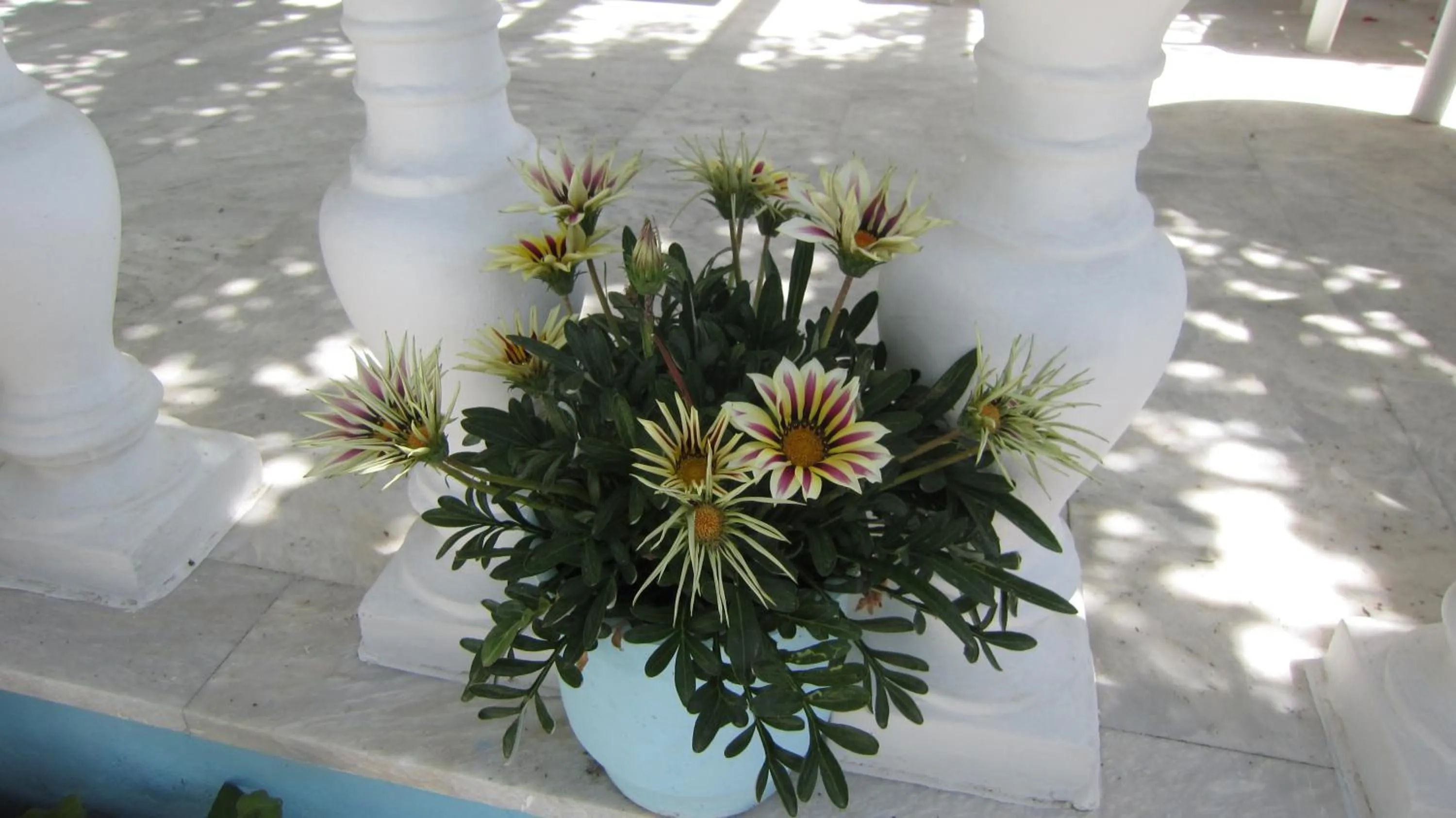 Other in Sandalis Hotel