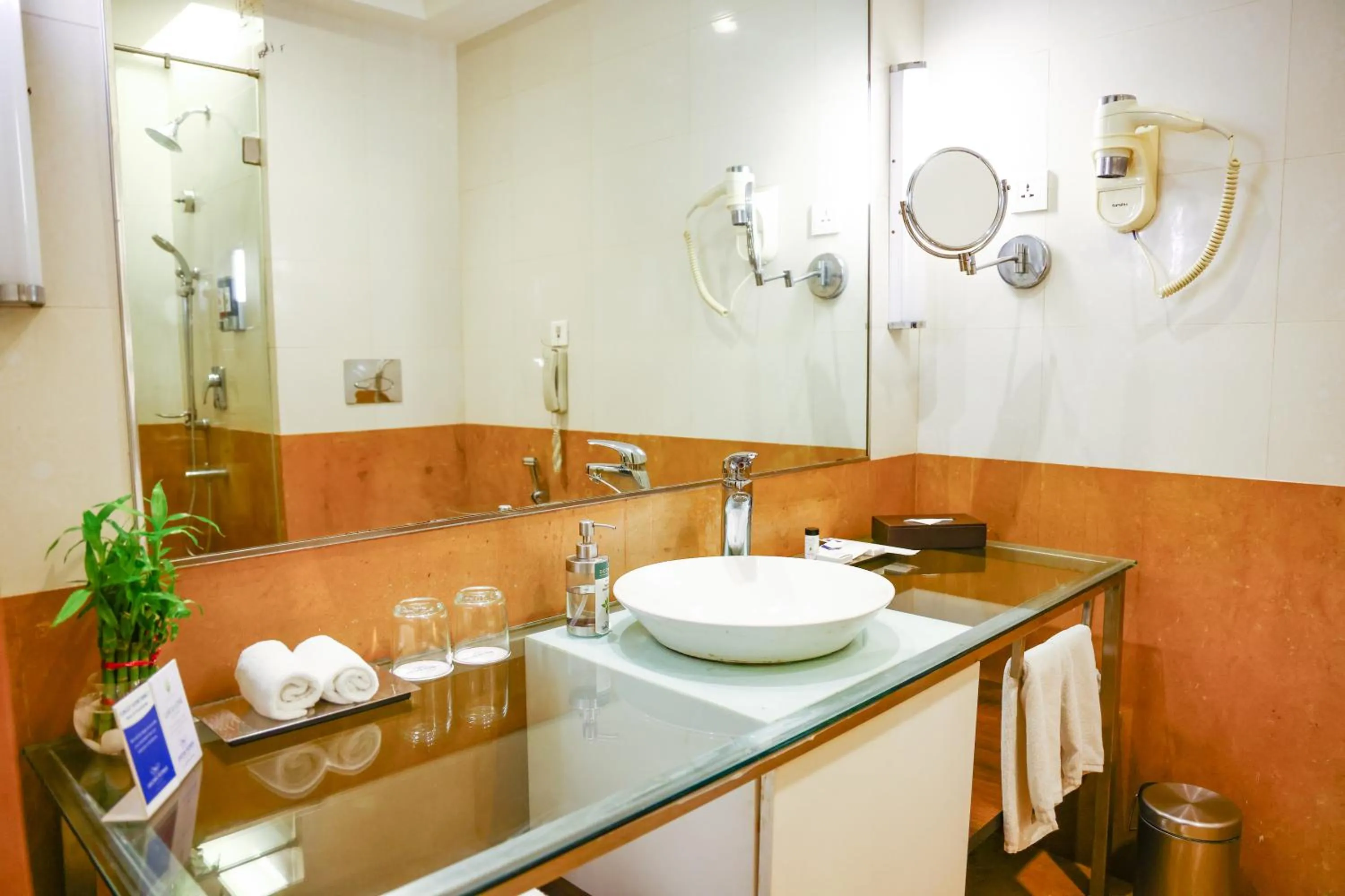 Toilet in Balaji Sarovar Premiere