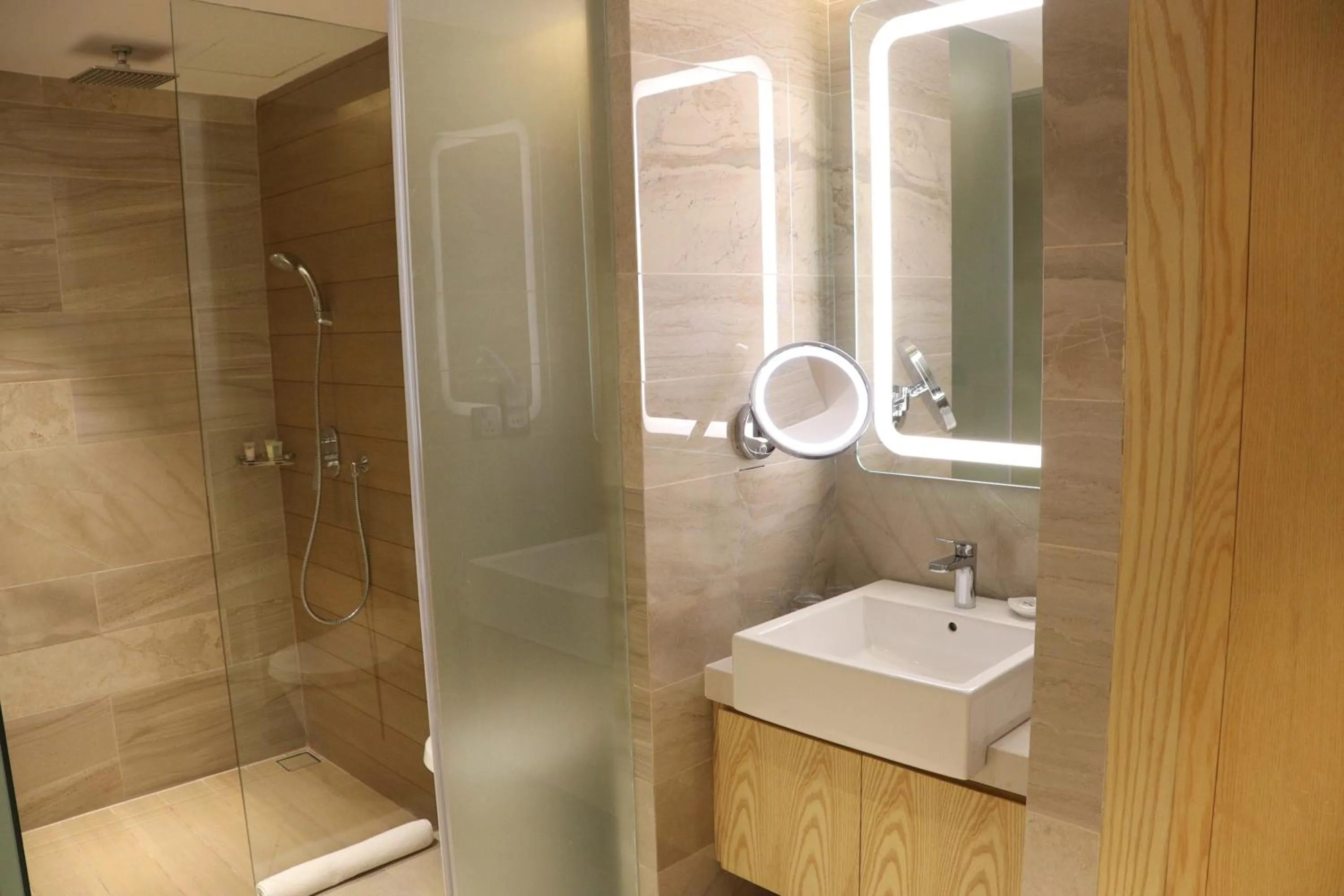Shower in HANSA- A Premium Residence
