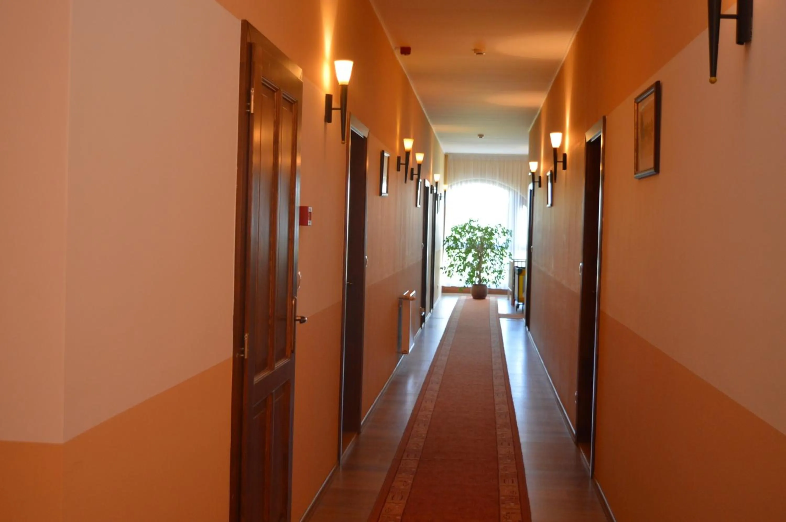 Area and facilities in Piroska Csárda és Panzió