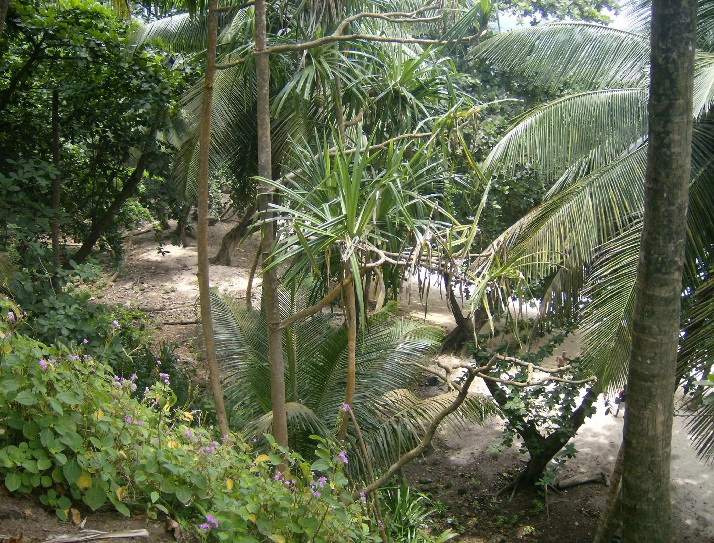 Property building in N`Guembú Nature Resort