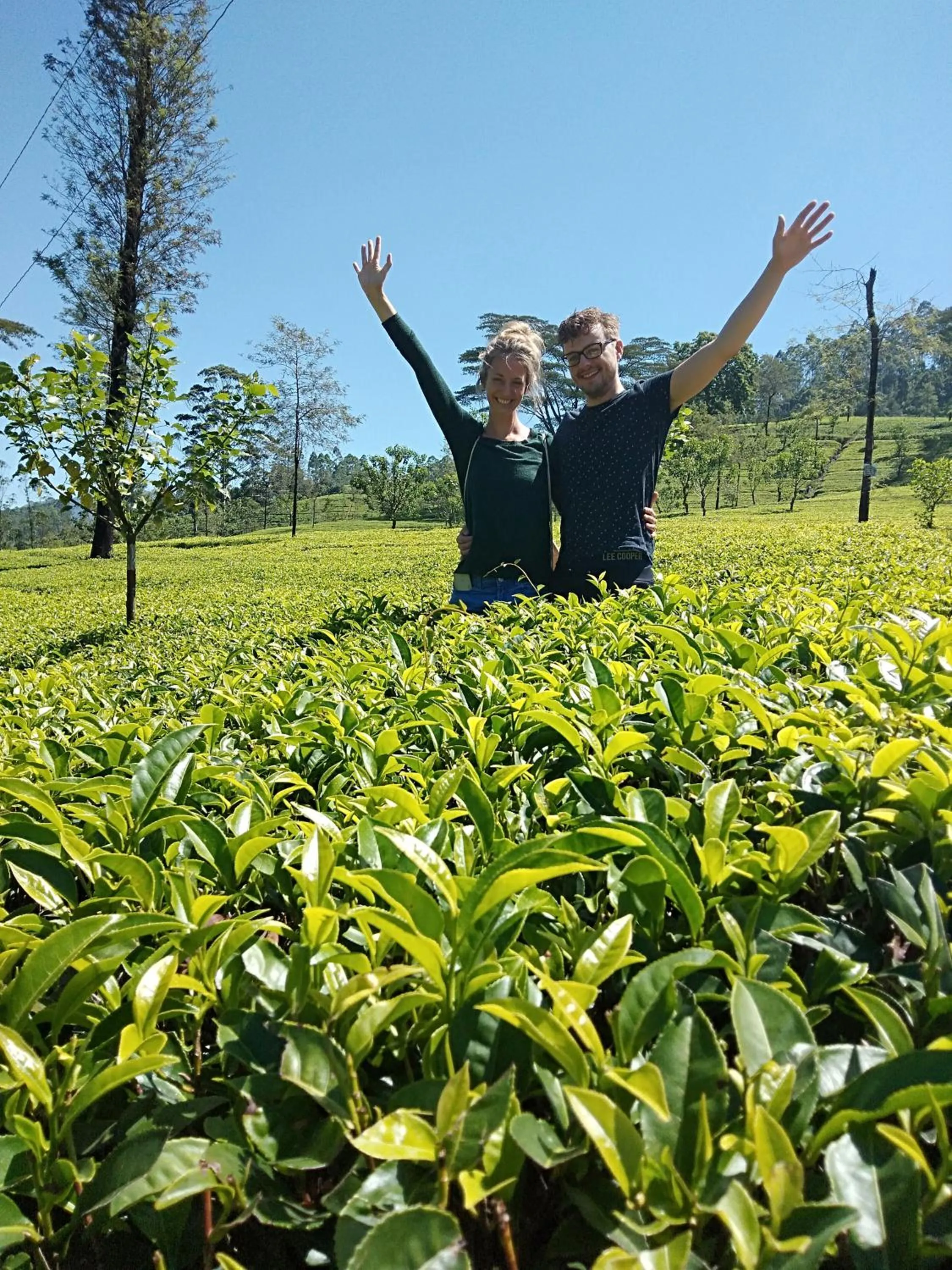 Homeaway Homestay Hatton