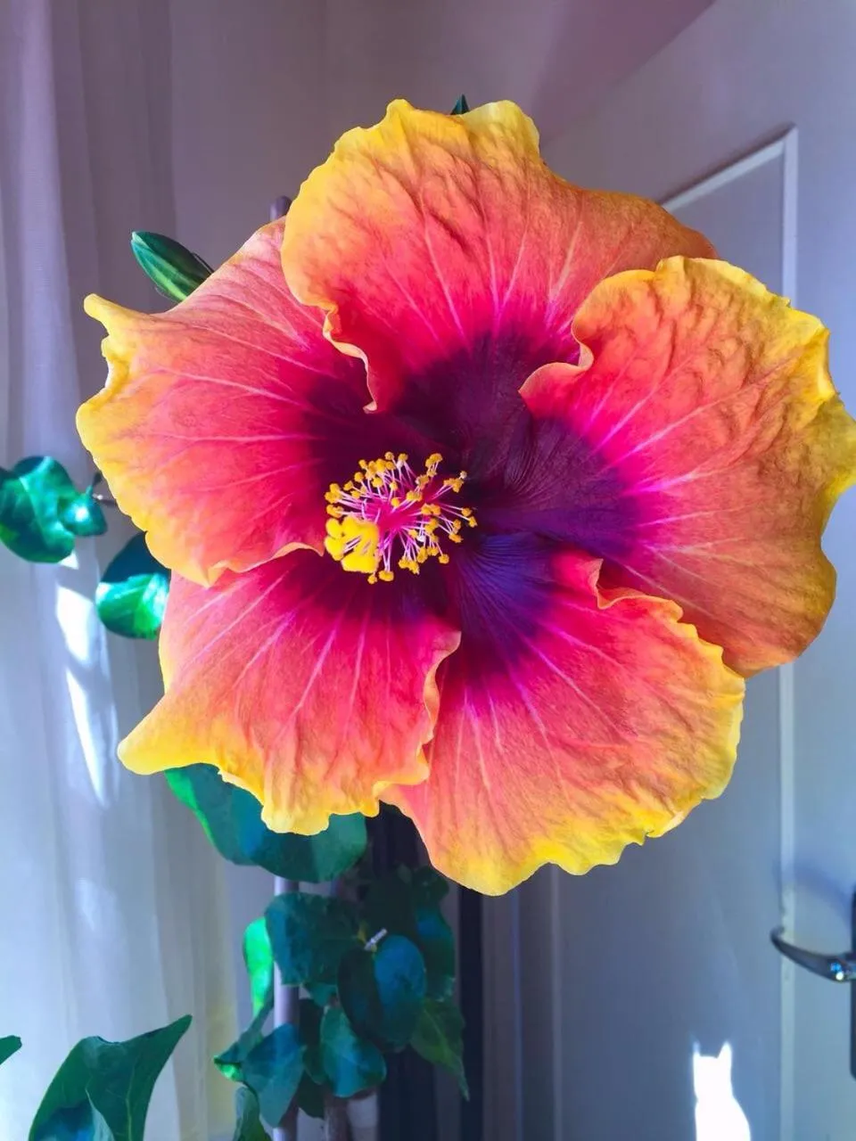 Decorative detail in La Rive Waterberg Accommodation