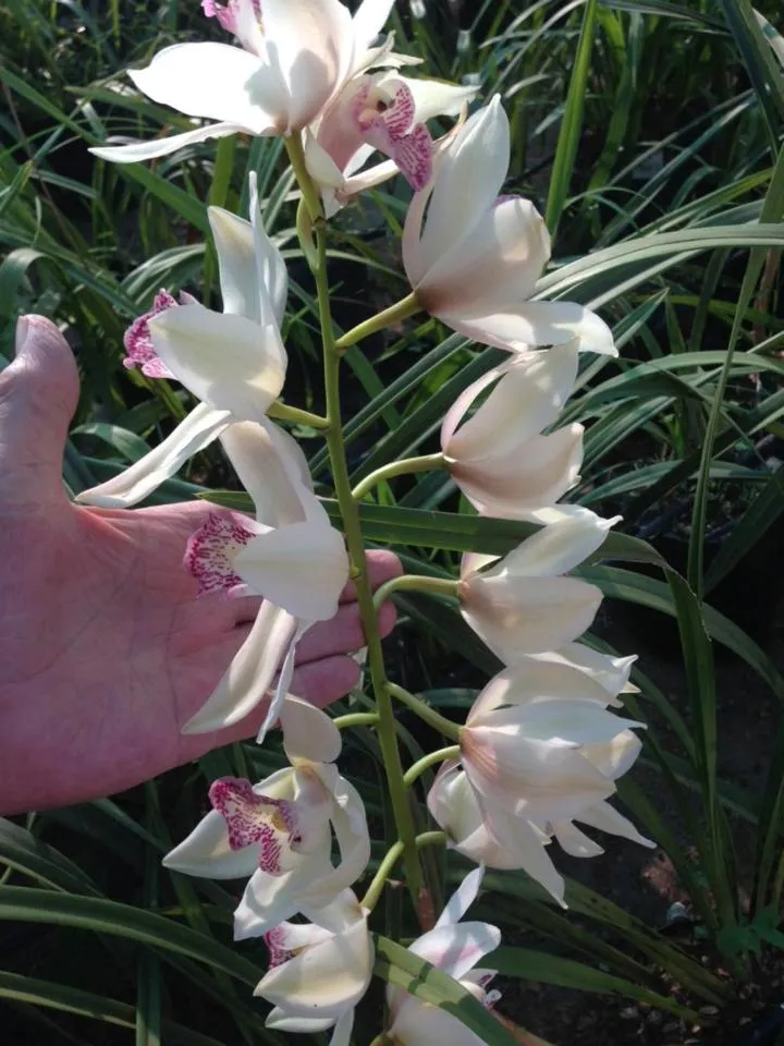 Garden view in La Rive Waterberg Accommodation