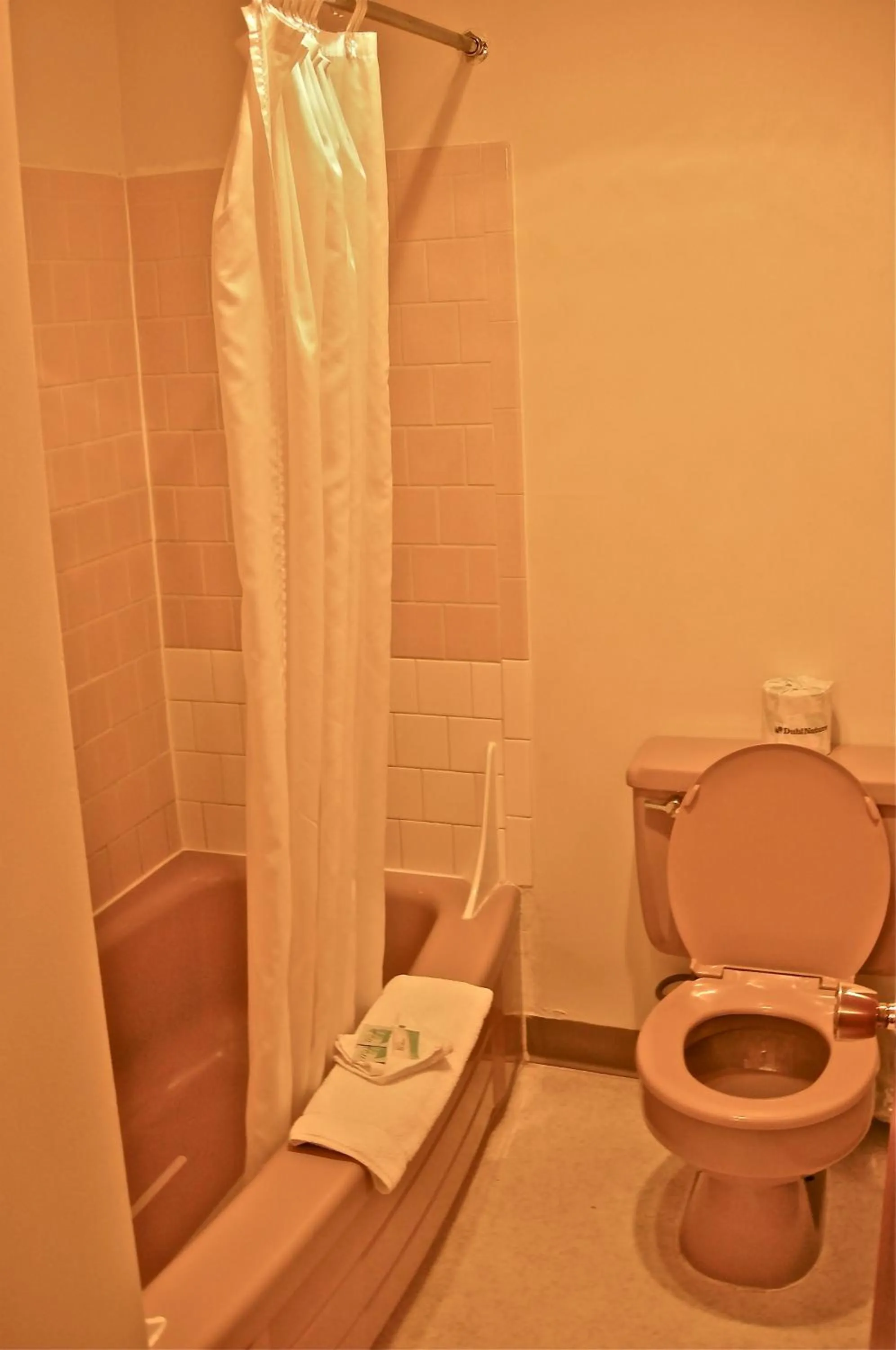 Bathroom in Royal Motor Inn